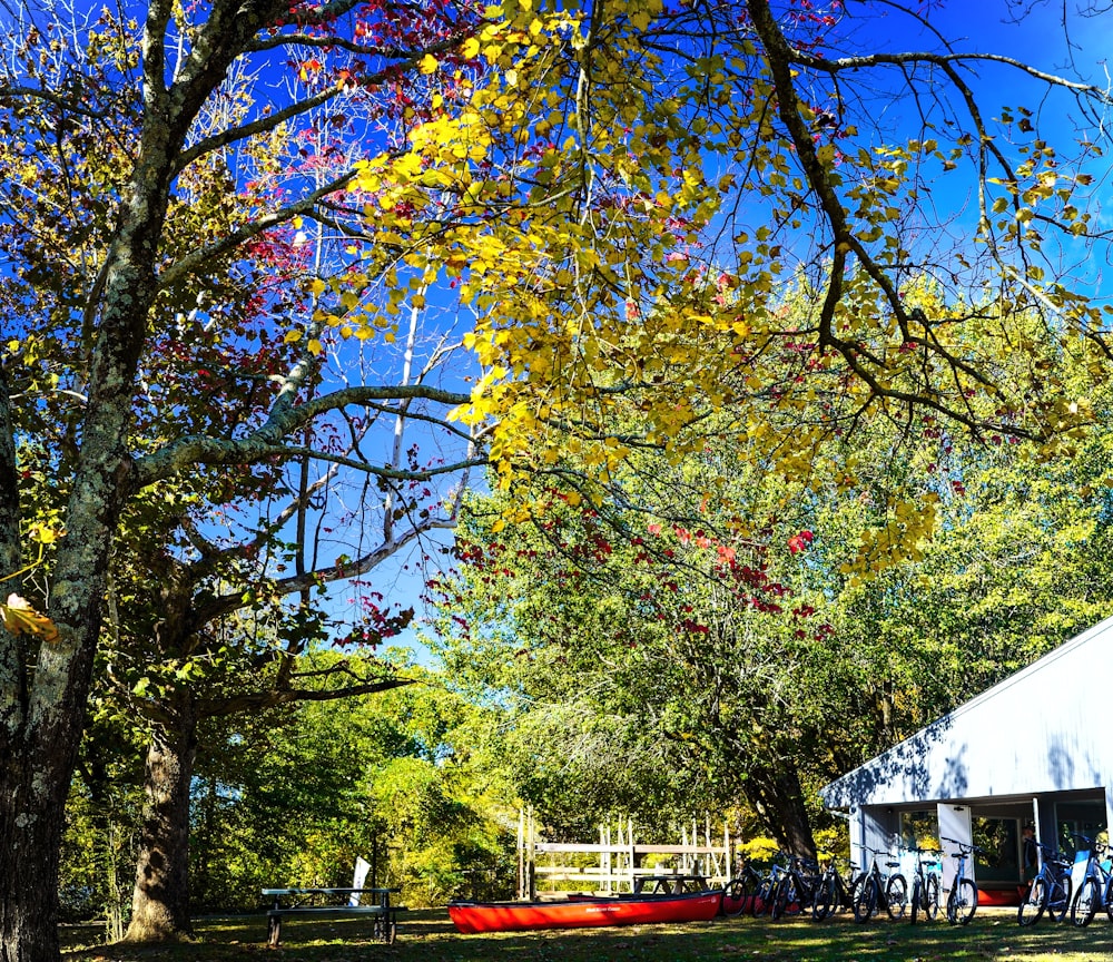 a tent is set up in the middle of a field