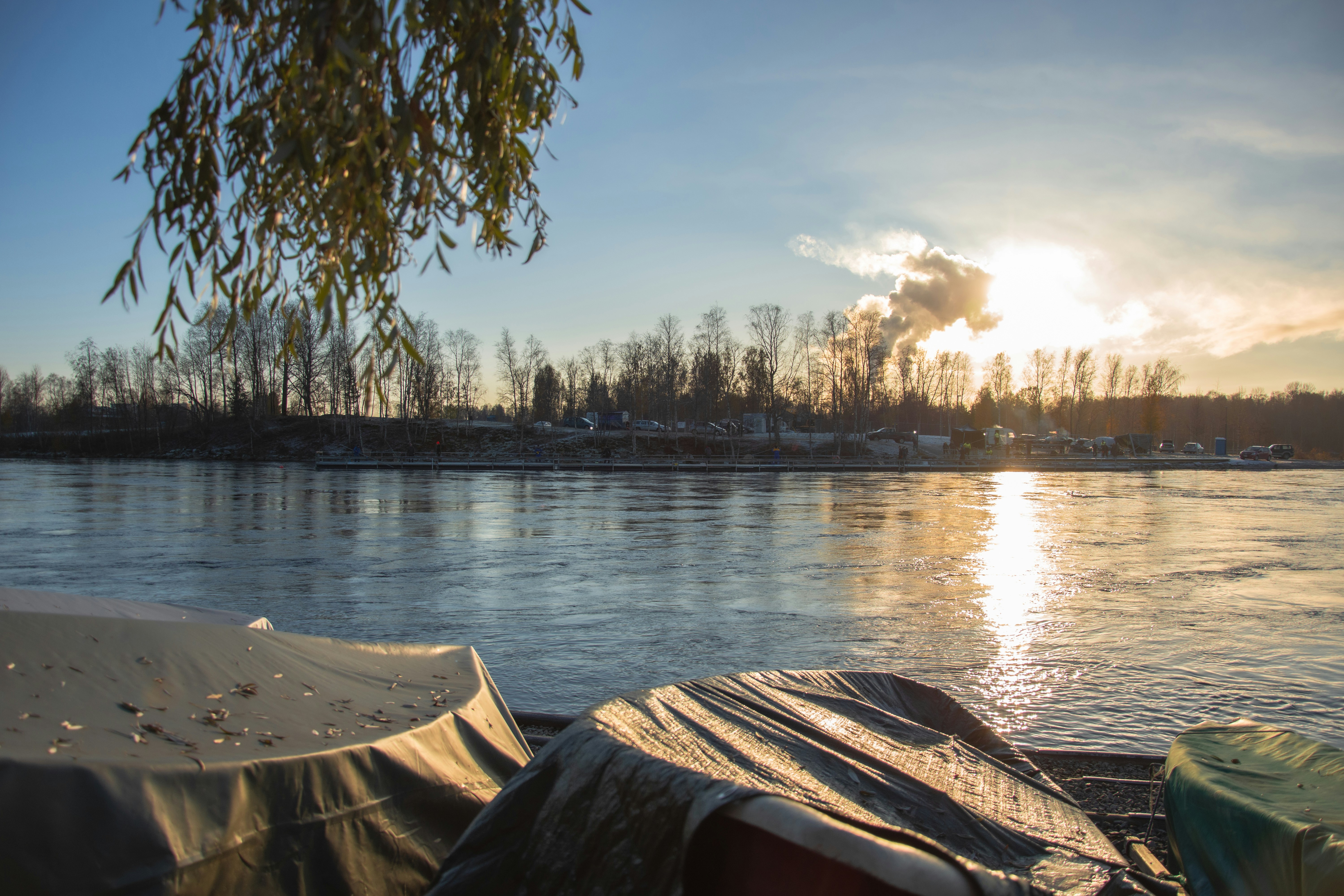 a body of water with boats and a tree in the background
