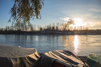 a body of water with boats and a tree in the background