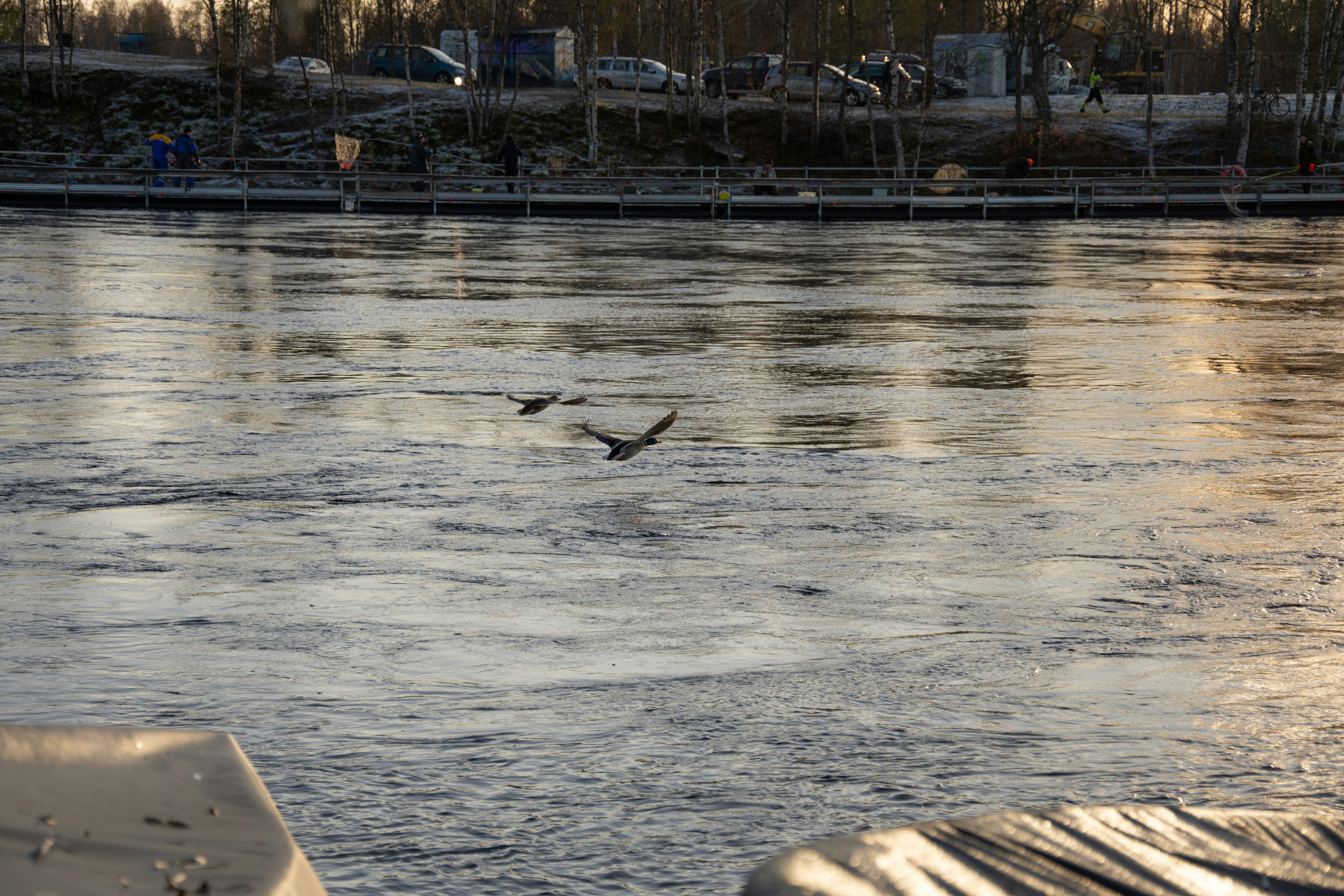 Photo by aleksi_p