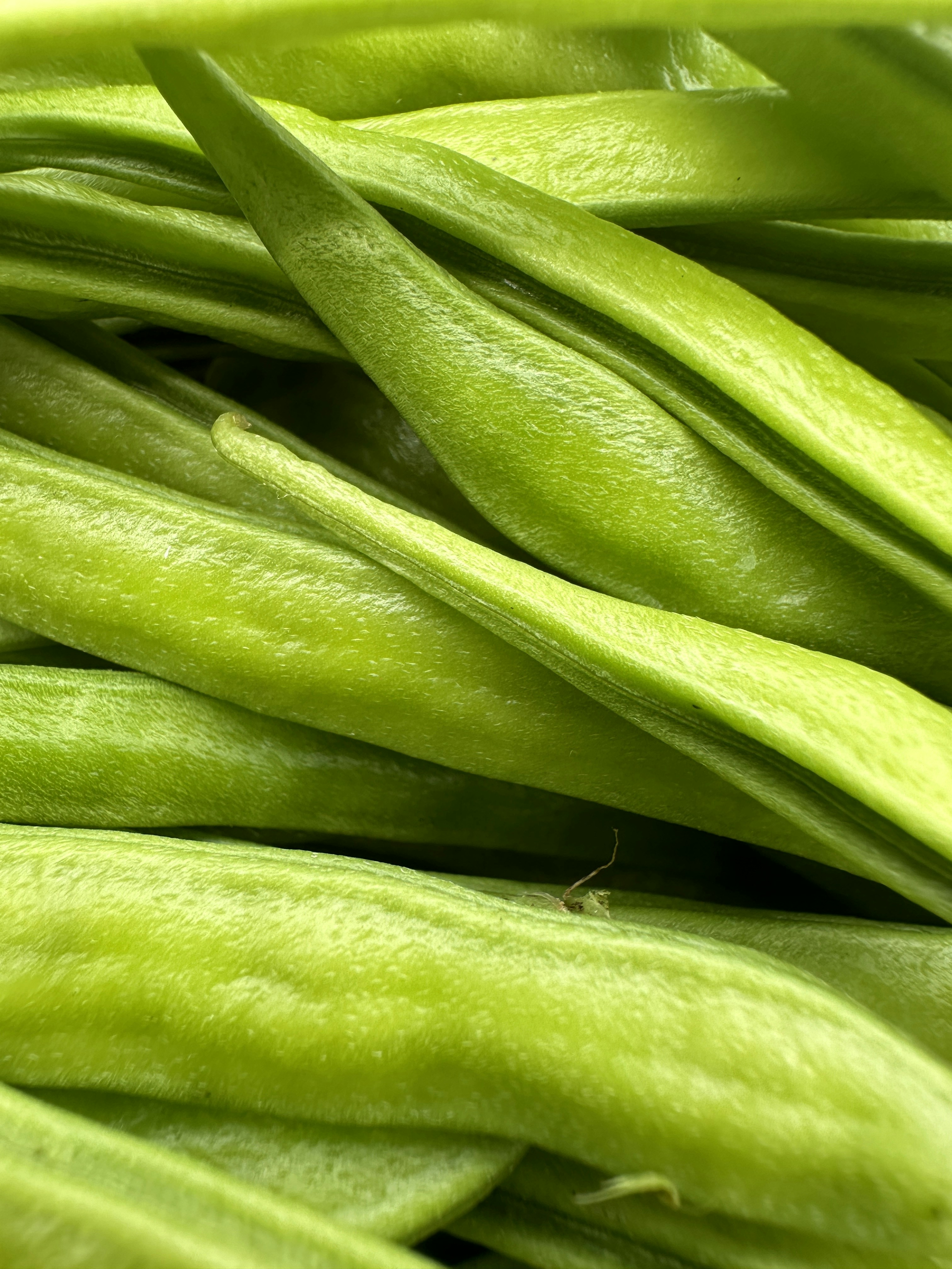 Shelled bright green soybeans piled fresh showing clean uniform beans, natural daylight from above