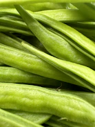 Close-up of fresh green soybeans growing on healthy plants.