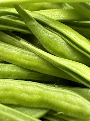 Close-up of vibrant beans freshly harvested from Nigerian farms.
