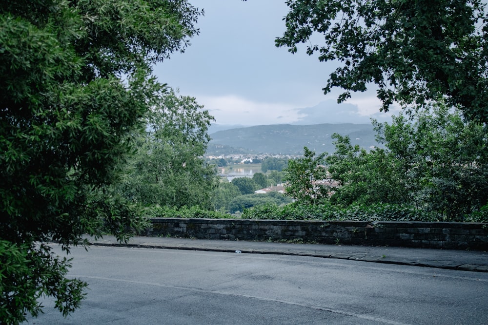 an empty street with trees and mountains in the background