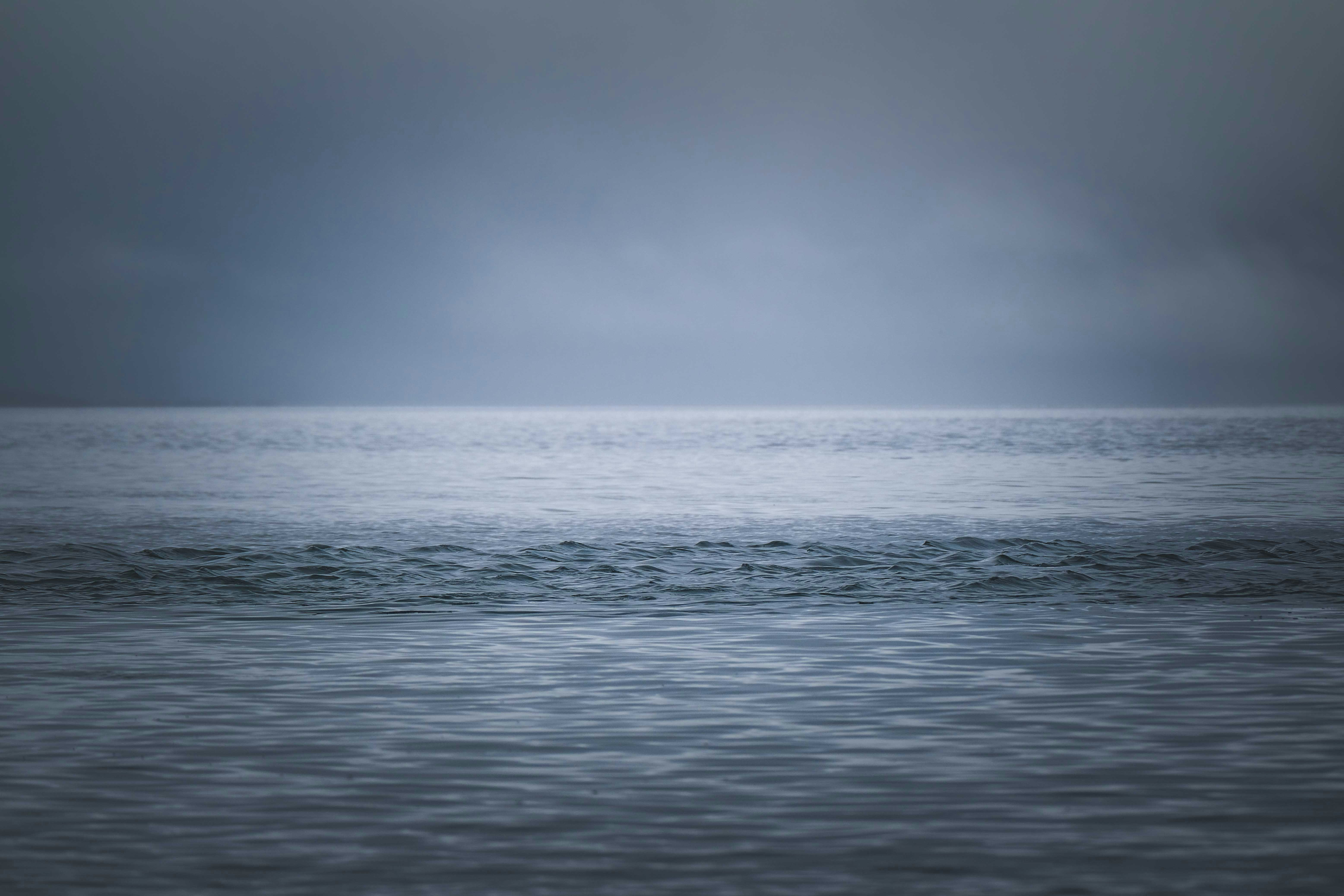 Photo by francesco_ungaro