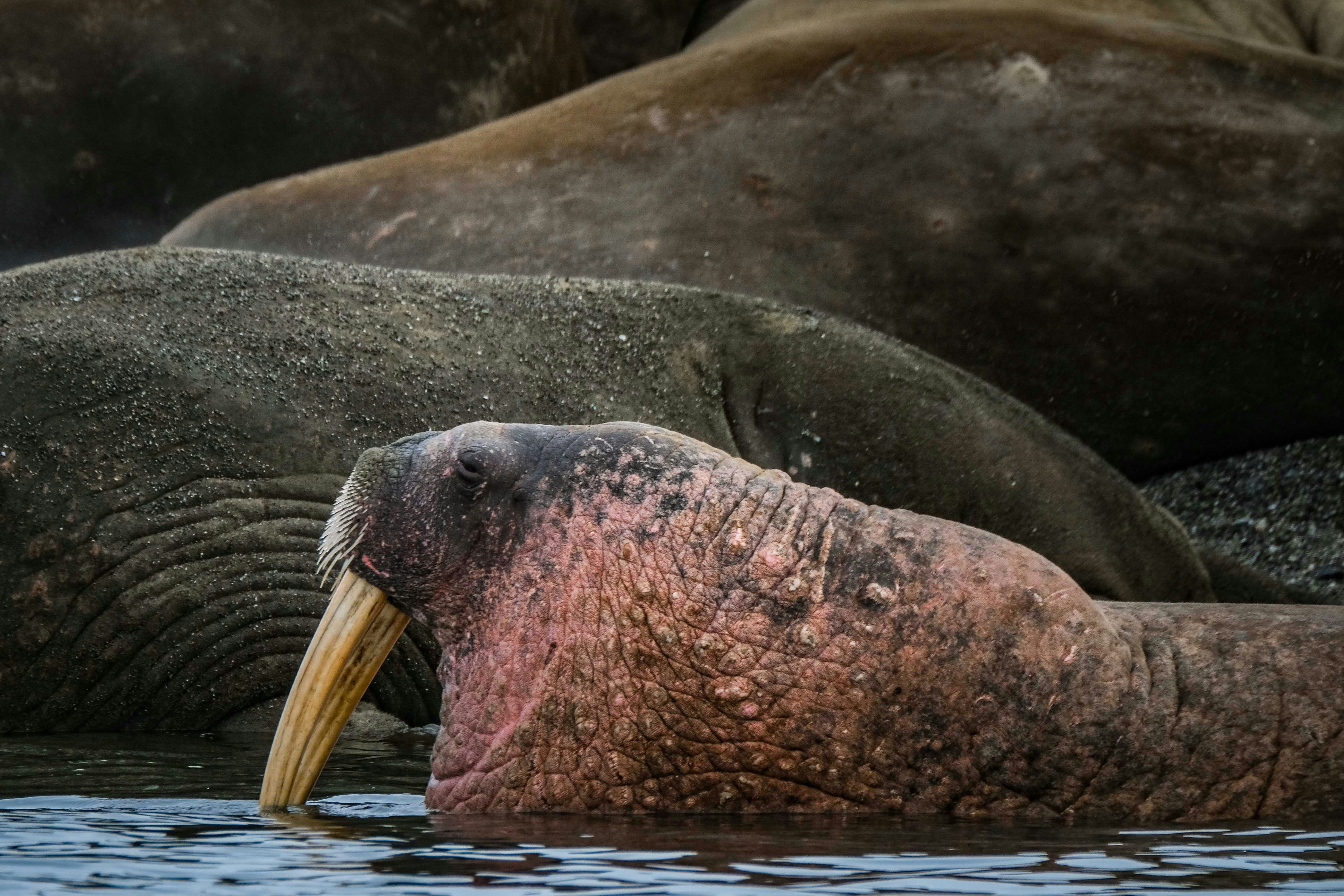 Photo by francesco_ungaro