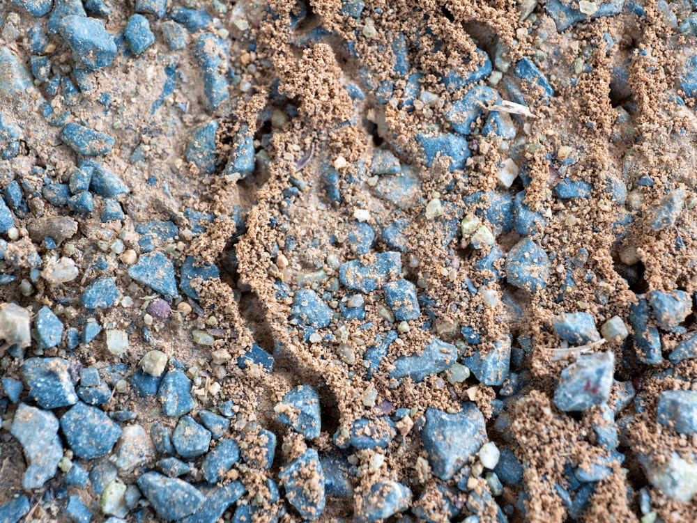 a close up of a dirt and rocks surface
