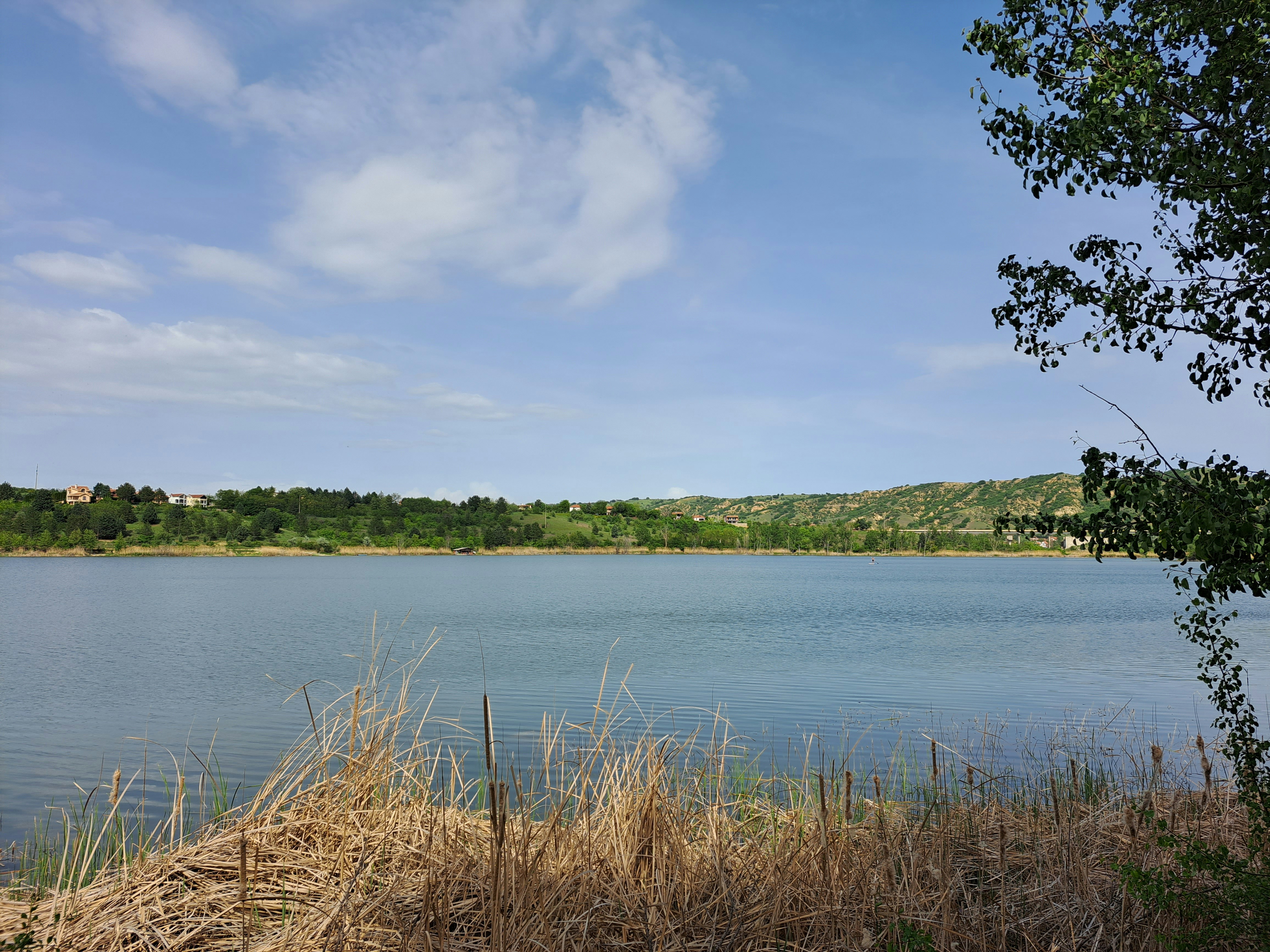 Photo by henrystimler