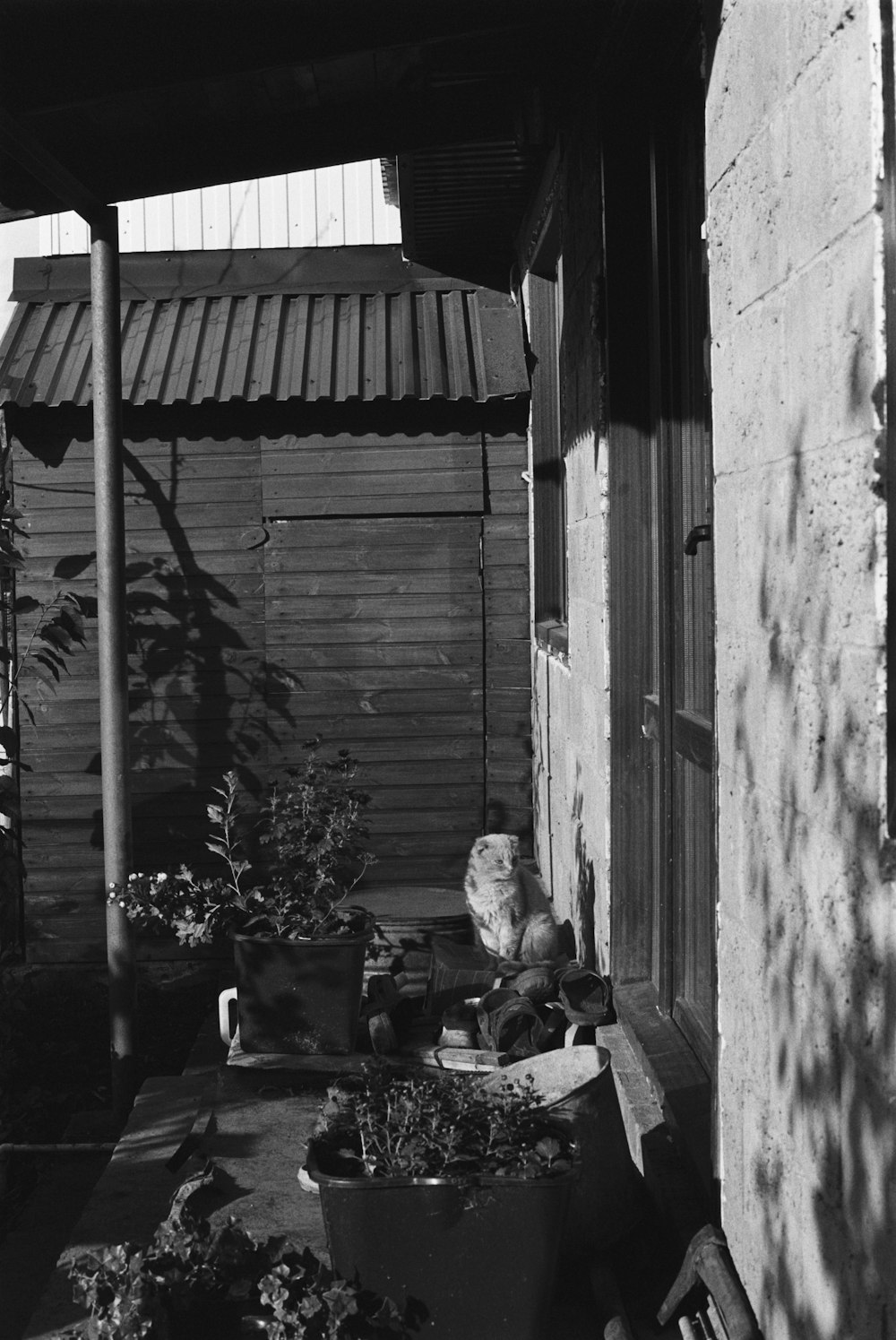 a black and white photo of a porch with potted plants