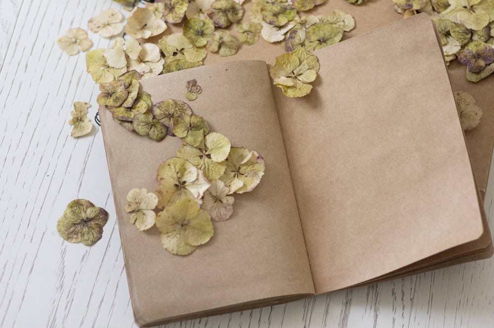 a book with a bunch of dried flowers on top of it