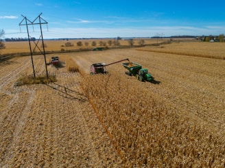 A vast cornfield stretches across the landscape, with two farm machines actively harvesting crops. An industrial combine machine deposits the harvested corn into a green trailer hitched to a tractor. Tall electricity pylons run through the field, casting long shadows on the ground. The sky is clear and blue, contributing to a serene and productive rural scene.
