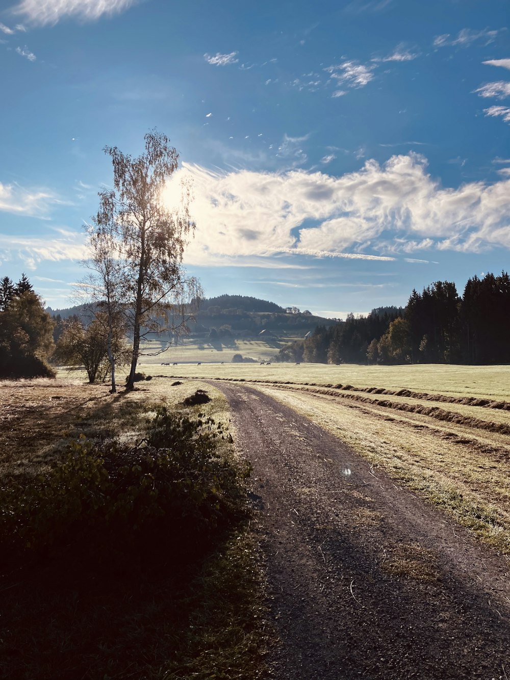 a dirt road in the middle of a field