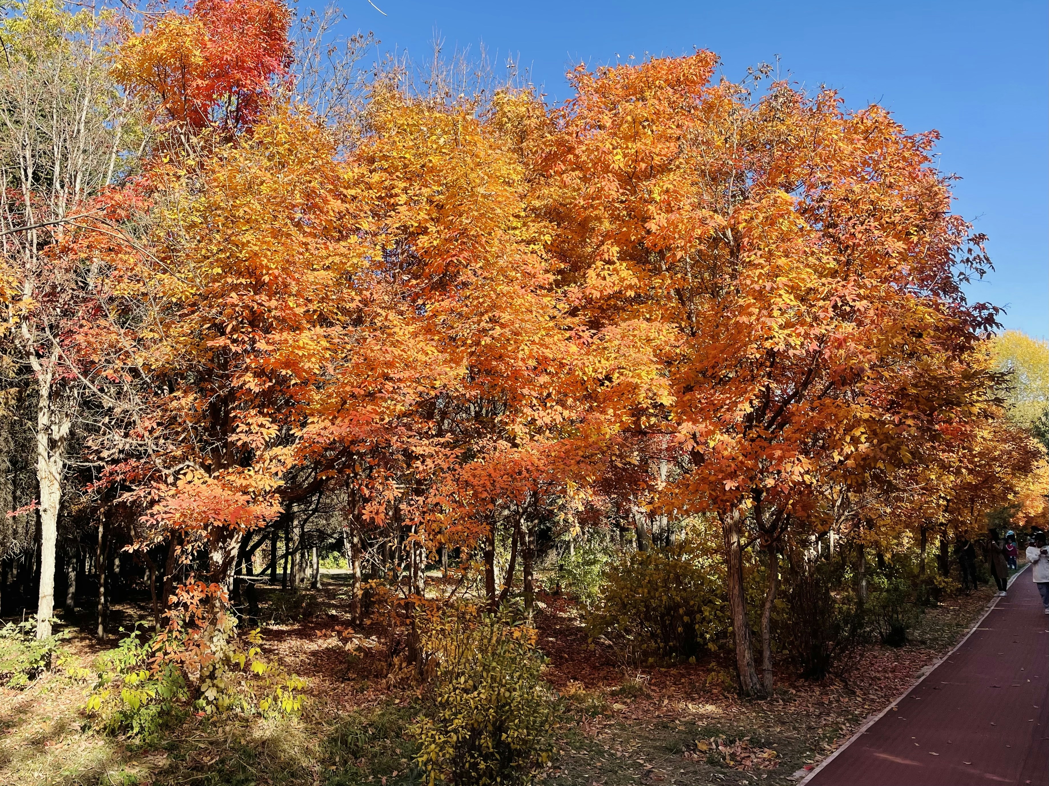 Photo by jiahaoliang