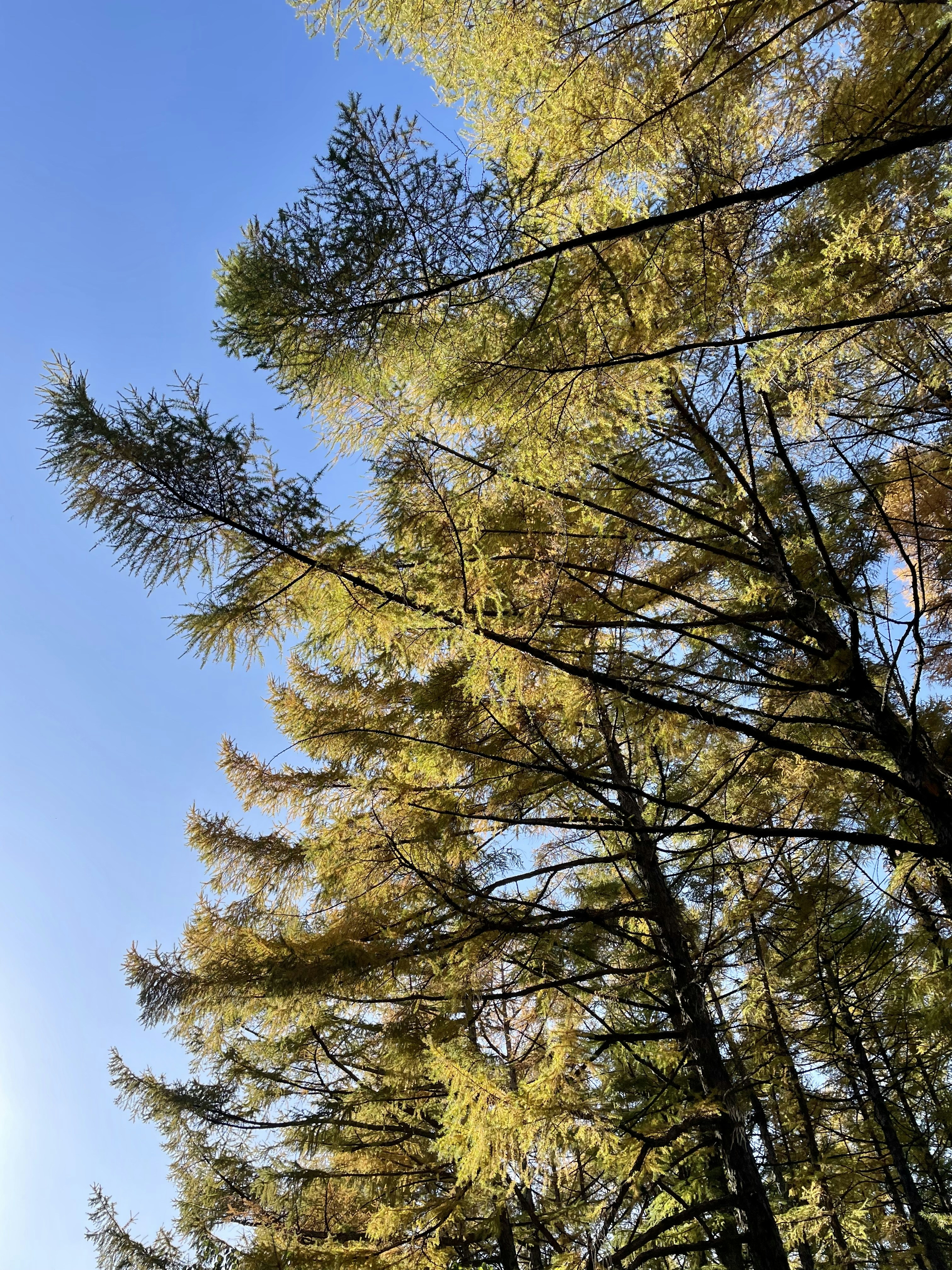 Photo by jiahaoliang