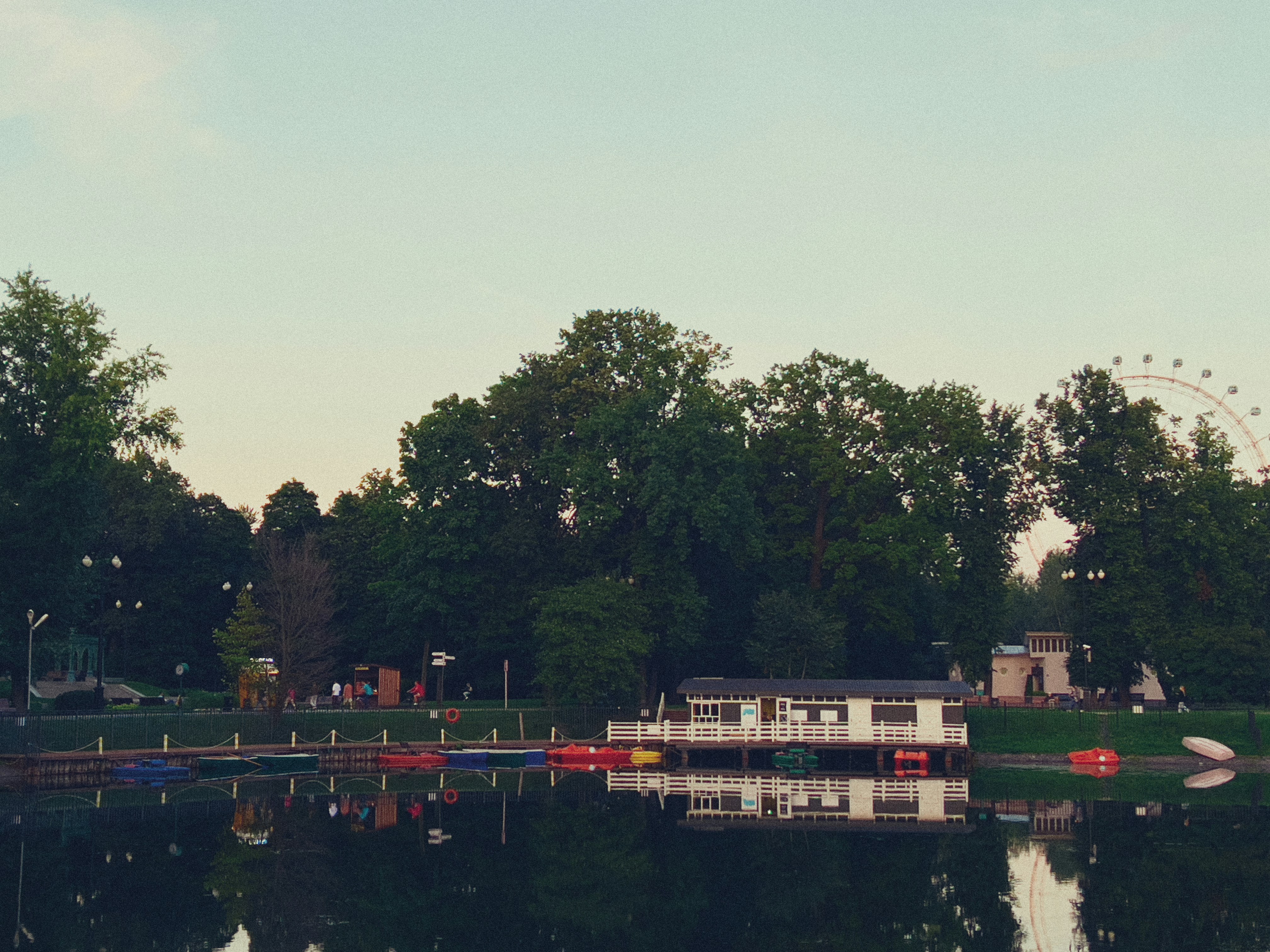 Boat on a lake beneath tall trees
