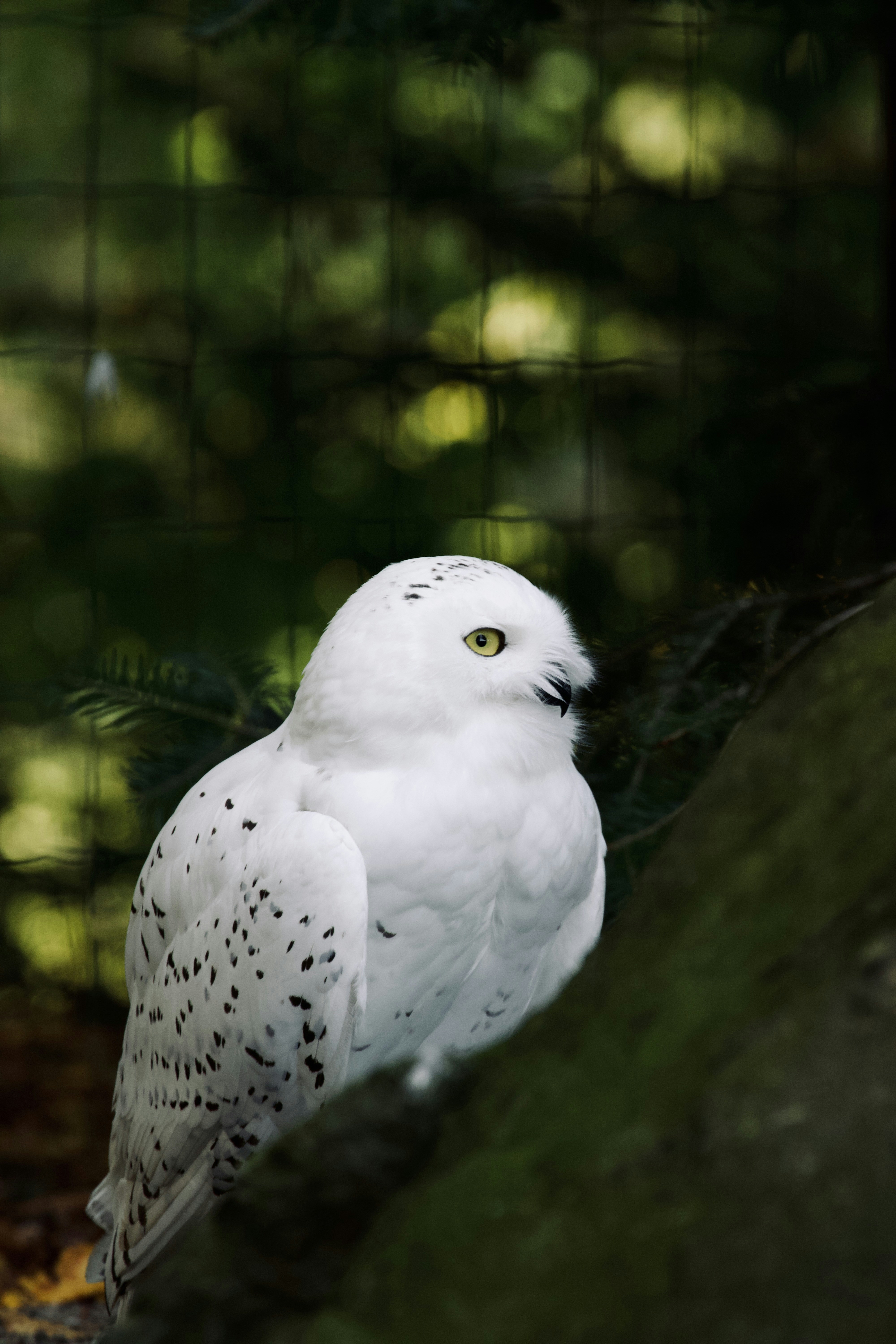 Photo by jakub_neskora