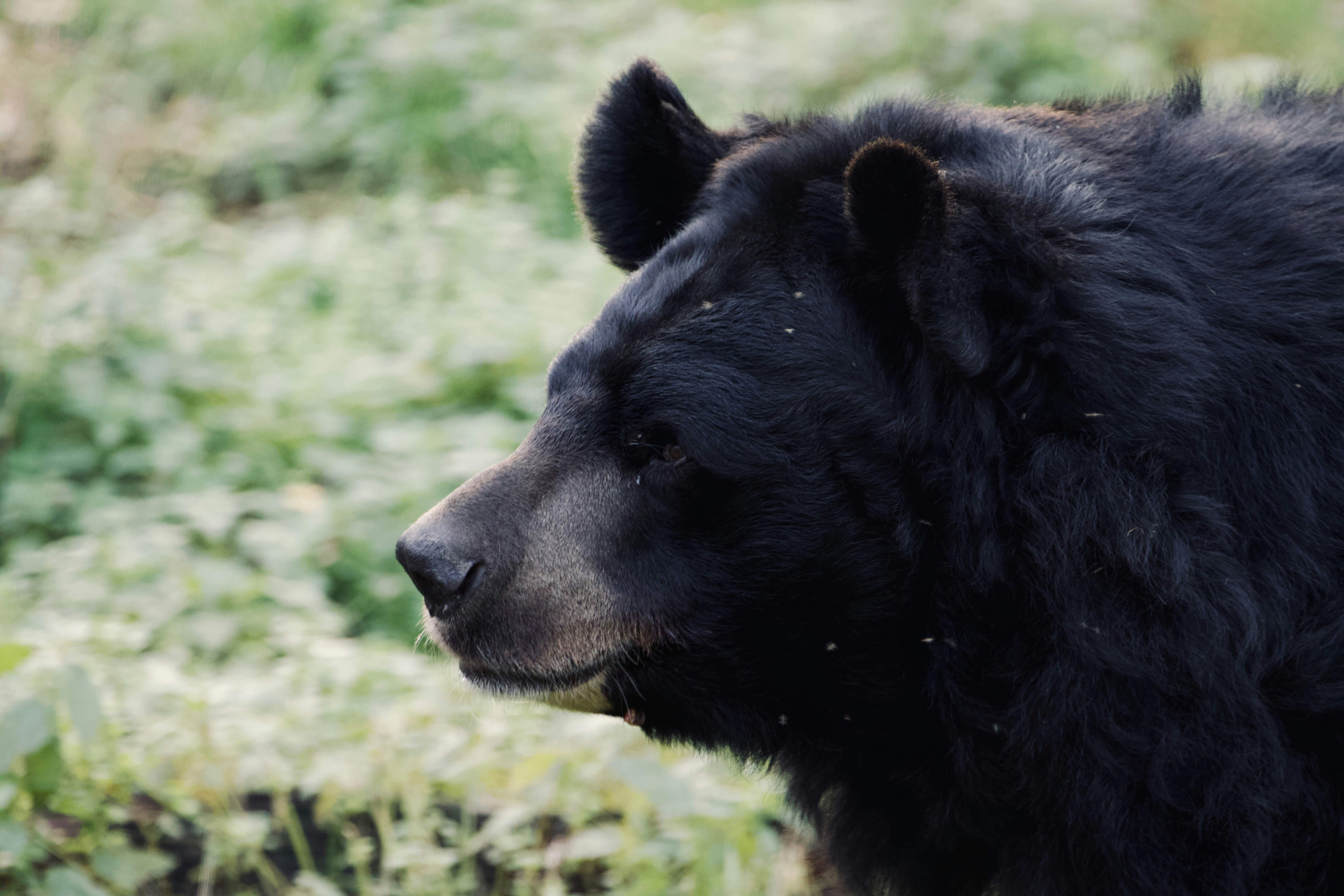 Photo by jakub_neskora