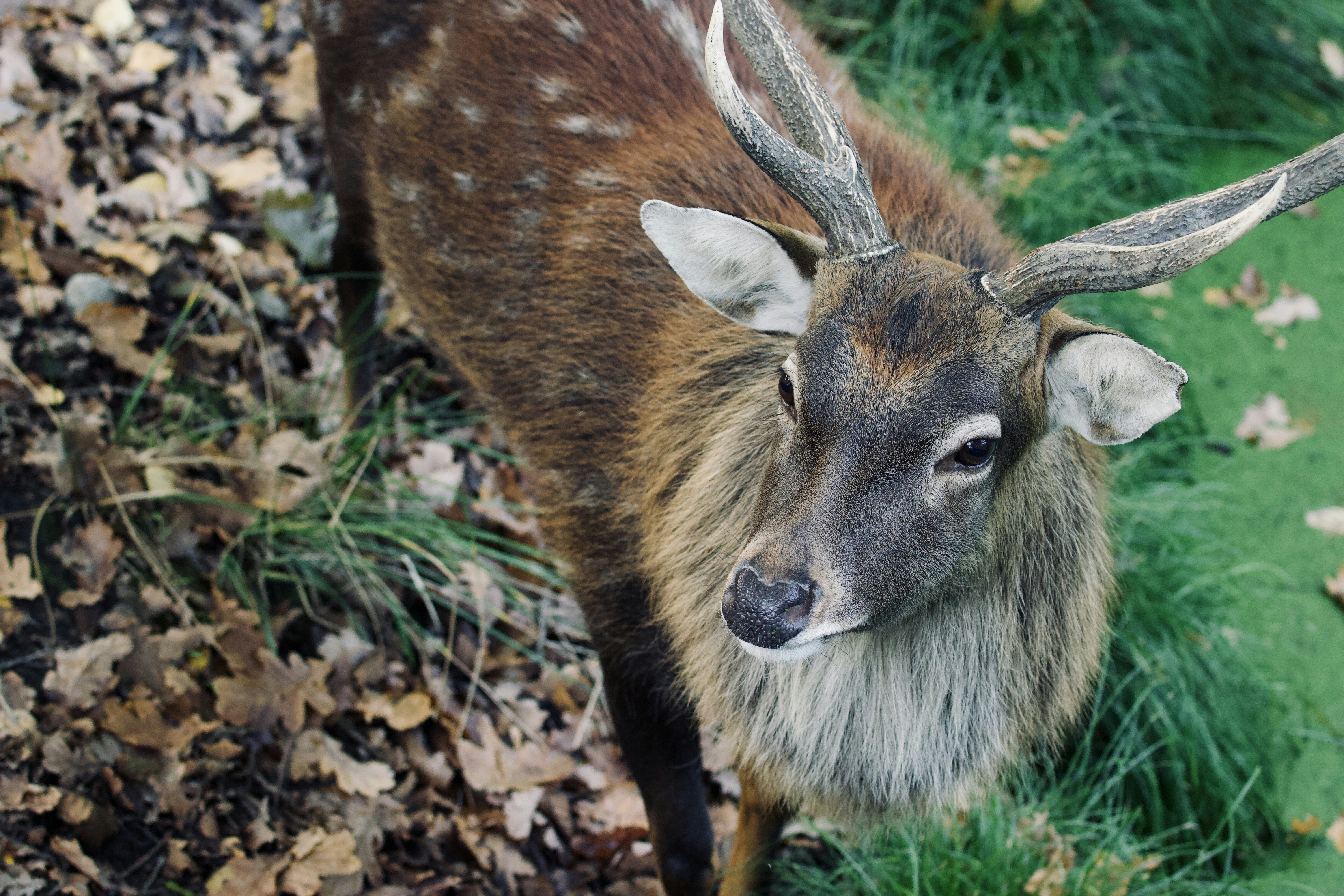 Photo by jakub_neskora