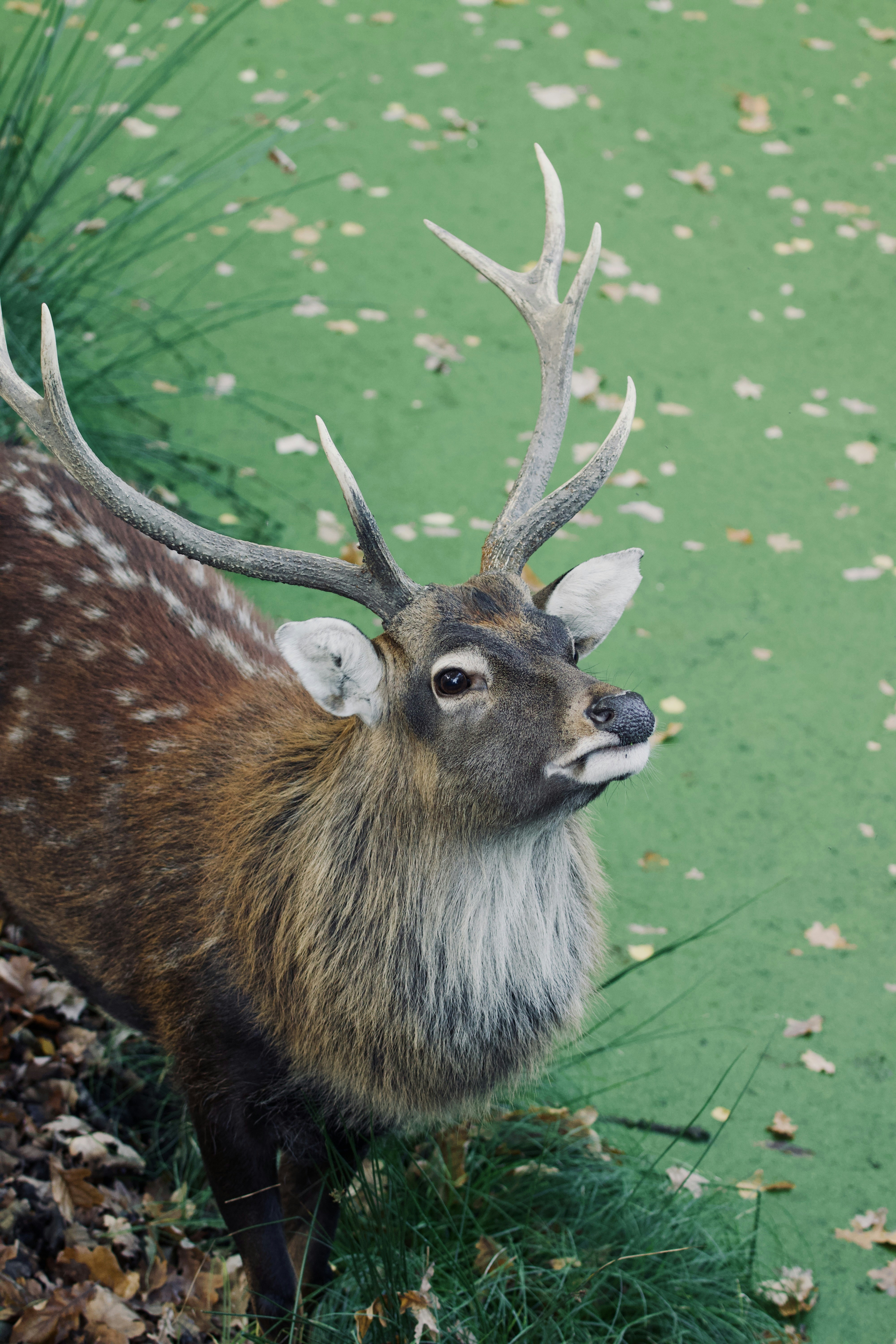 Photo by jakub_neskora