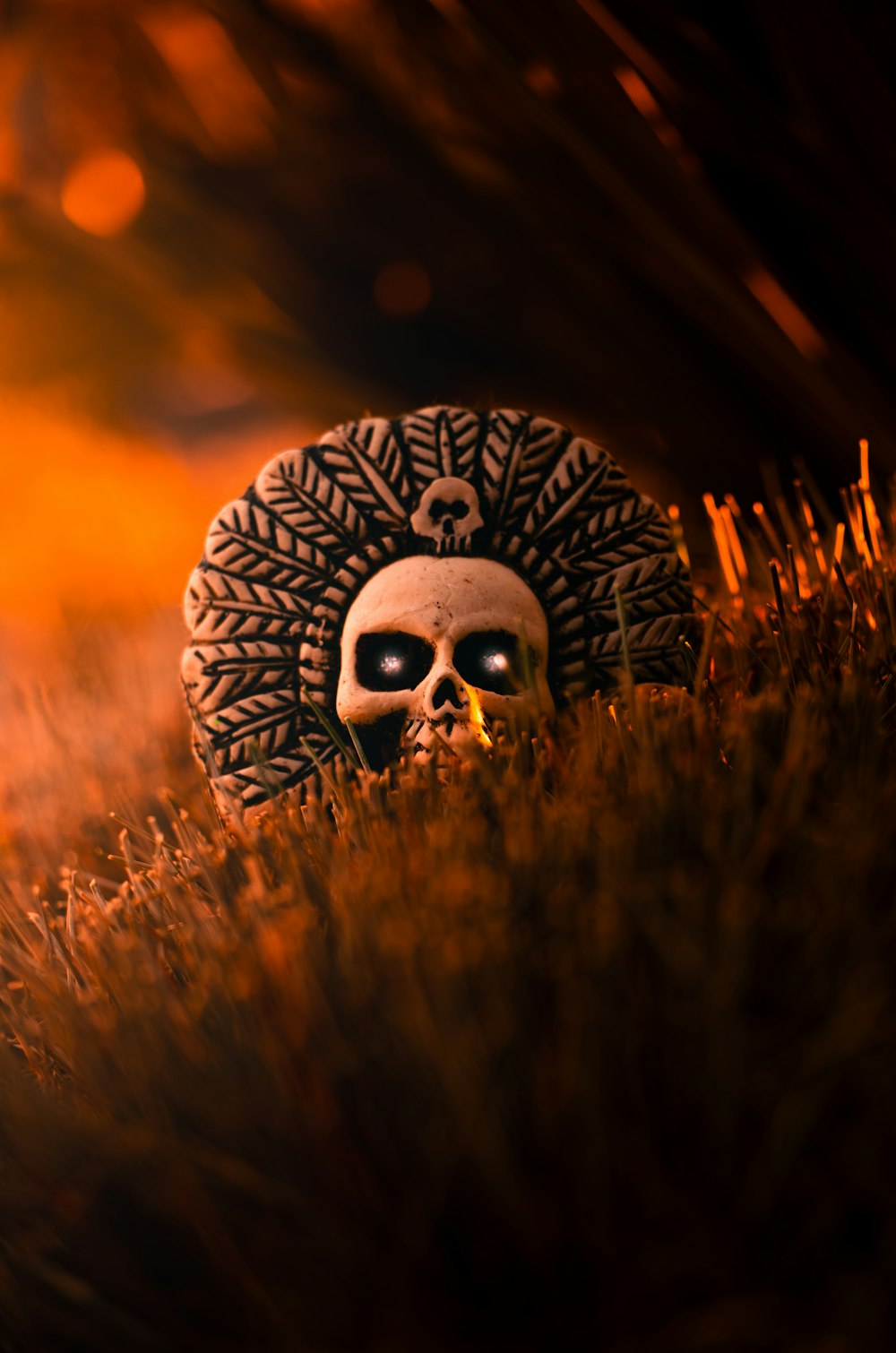a skull sitting in the middle of a field