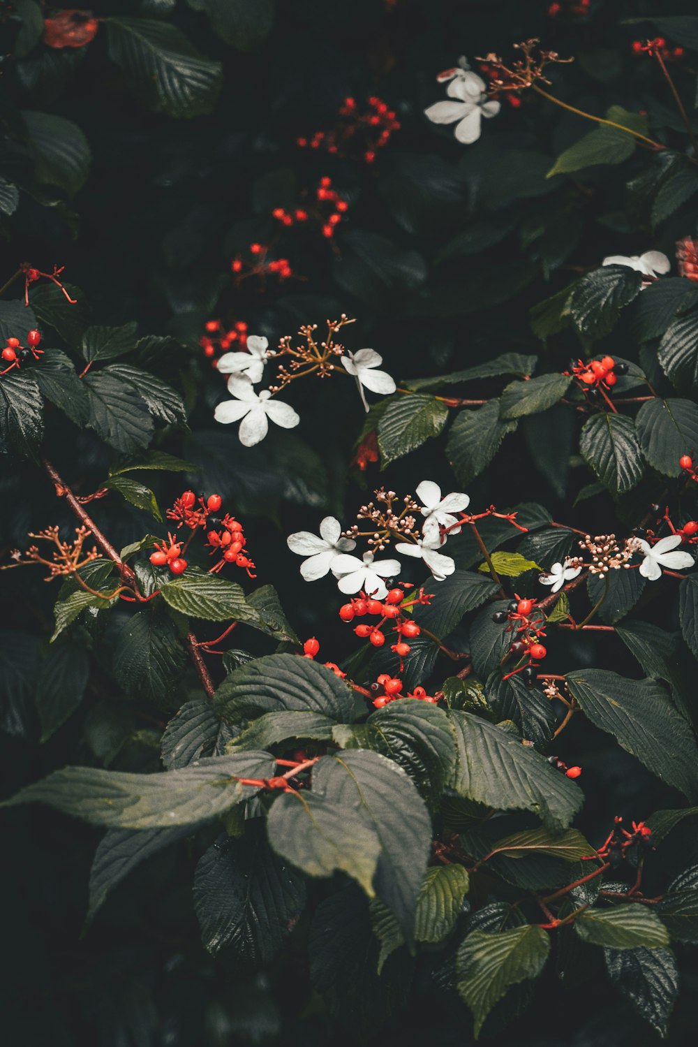 ein Blumenstrauß, der an einem Baum hängt