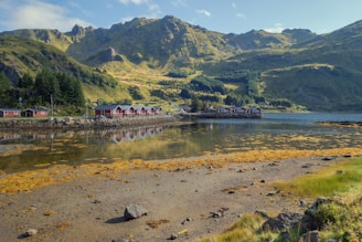 A serene landscape featuring a row of red cabins along the shoreline, surrounded by lush, green mountains under a clear blue sky. The calm water reflects the cabins and the surrounding nature, creating a peaceful and idyllic scene. The foreground includes patches of yellowish algae and rocky beach, enhancing the natural atmosphere.