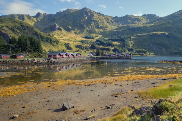 A serene landscape featuring a row of red cabins along the shoreline, surrounded by lush, green mountains under a clear blue sky. The calm water reflects the cabins and the surrounding nature, creating a peaceful and idyllic scene. The foreground includes patches of yellowish algae and rocky beach, enhancing the natural atmosphere.
