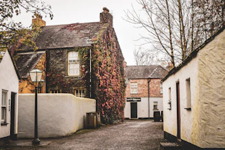 A quaint village street lined with colorful cottages dusted with autumn leaves.