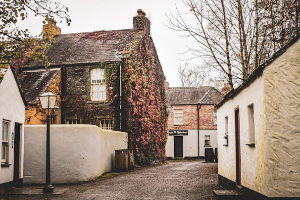 A quaint village street lined with colorful cottages dusted with autumn leaves.