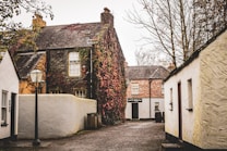 A quaint, narrow street lined with charming cottages and houses. One building is partially covered with red and green ivy, suggesting an autumn setting. Leafless trees stand in the background, and the street is paved with cobblestones. A vintage-style lamp post adds to the rustic feel of the scene.