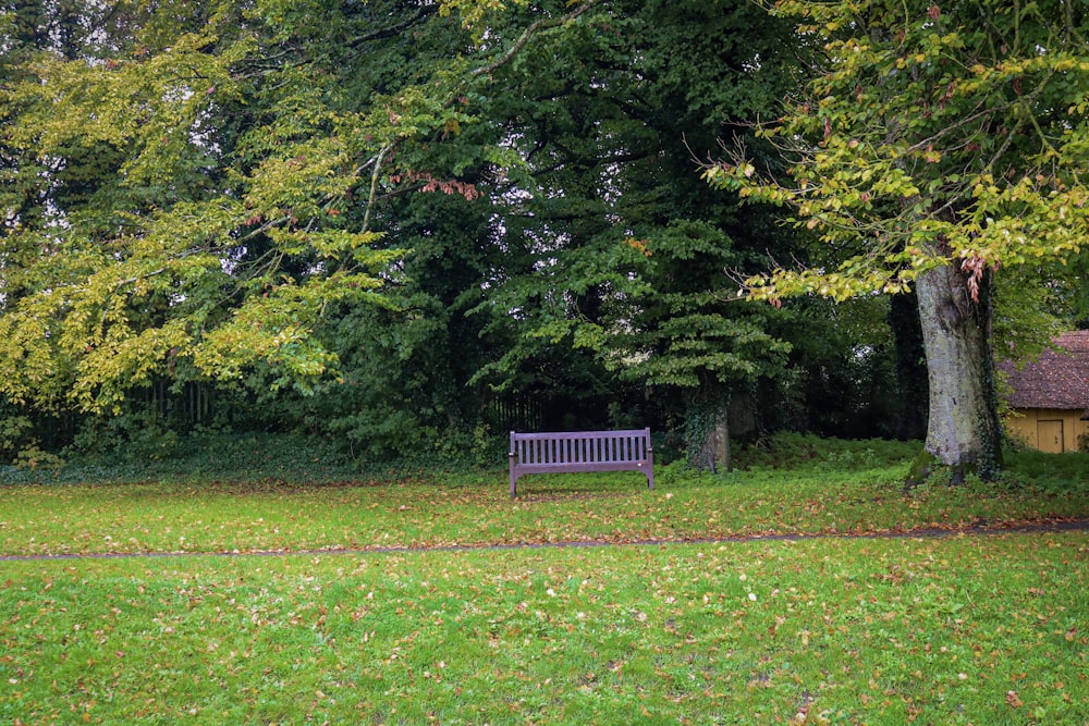 a purple bench sitting in the middle of a lush green park