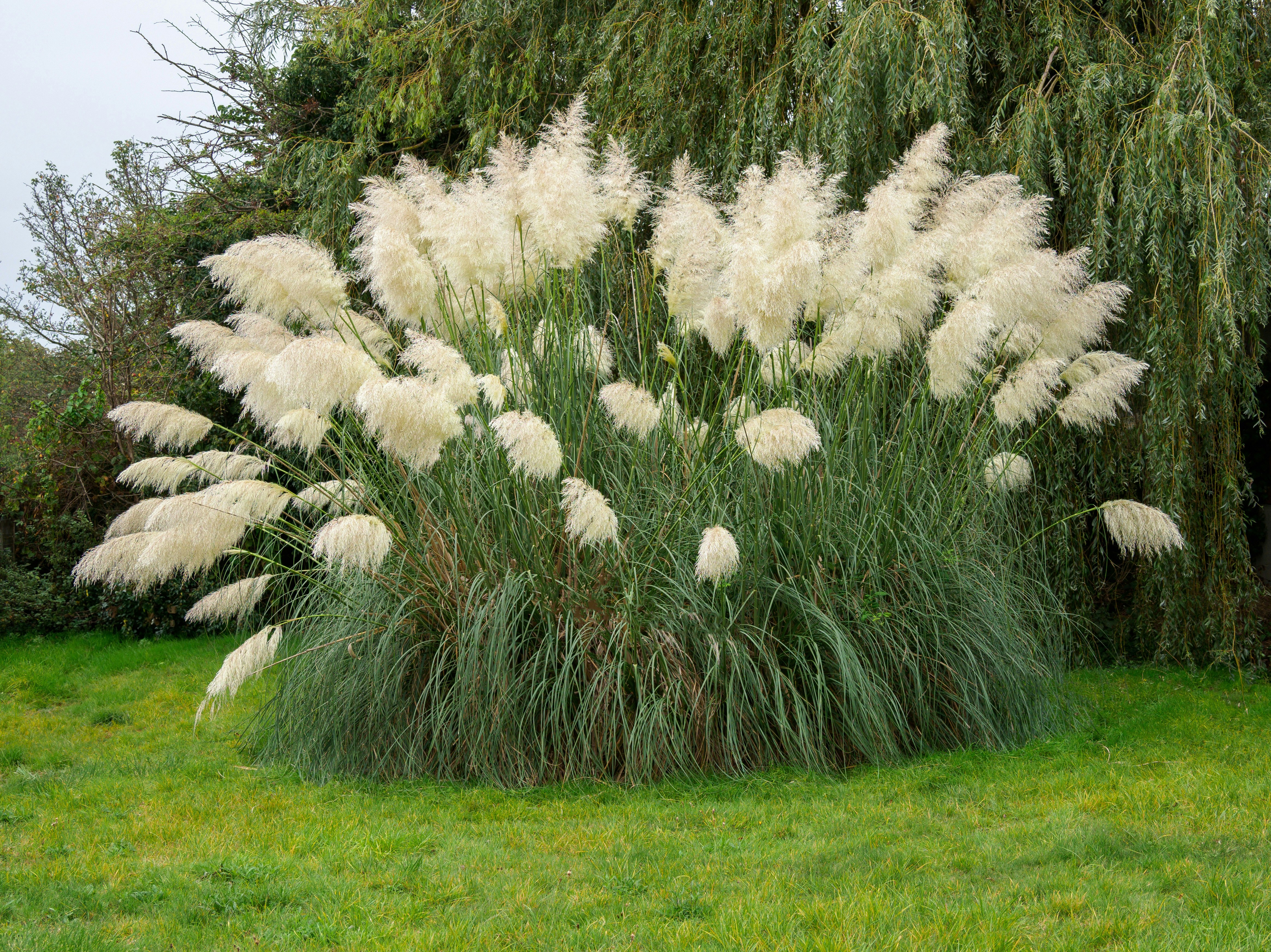 Photo by brett_jordan