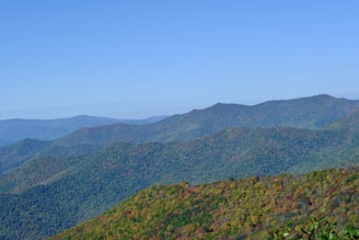 A panoramic view of rolling hills with mixed forest and pasture.
