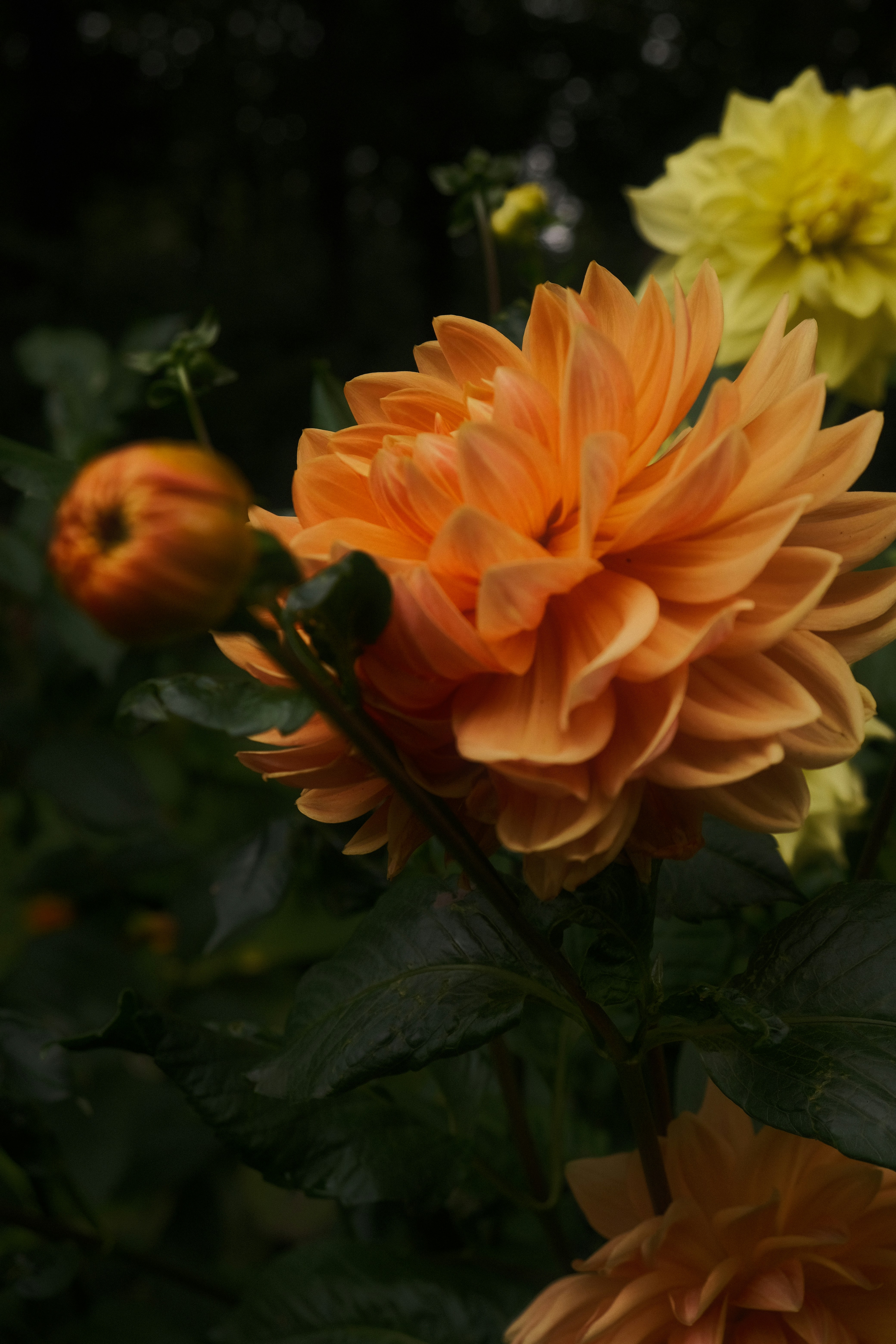 Photo by toriajeanette