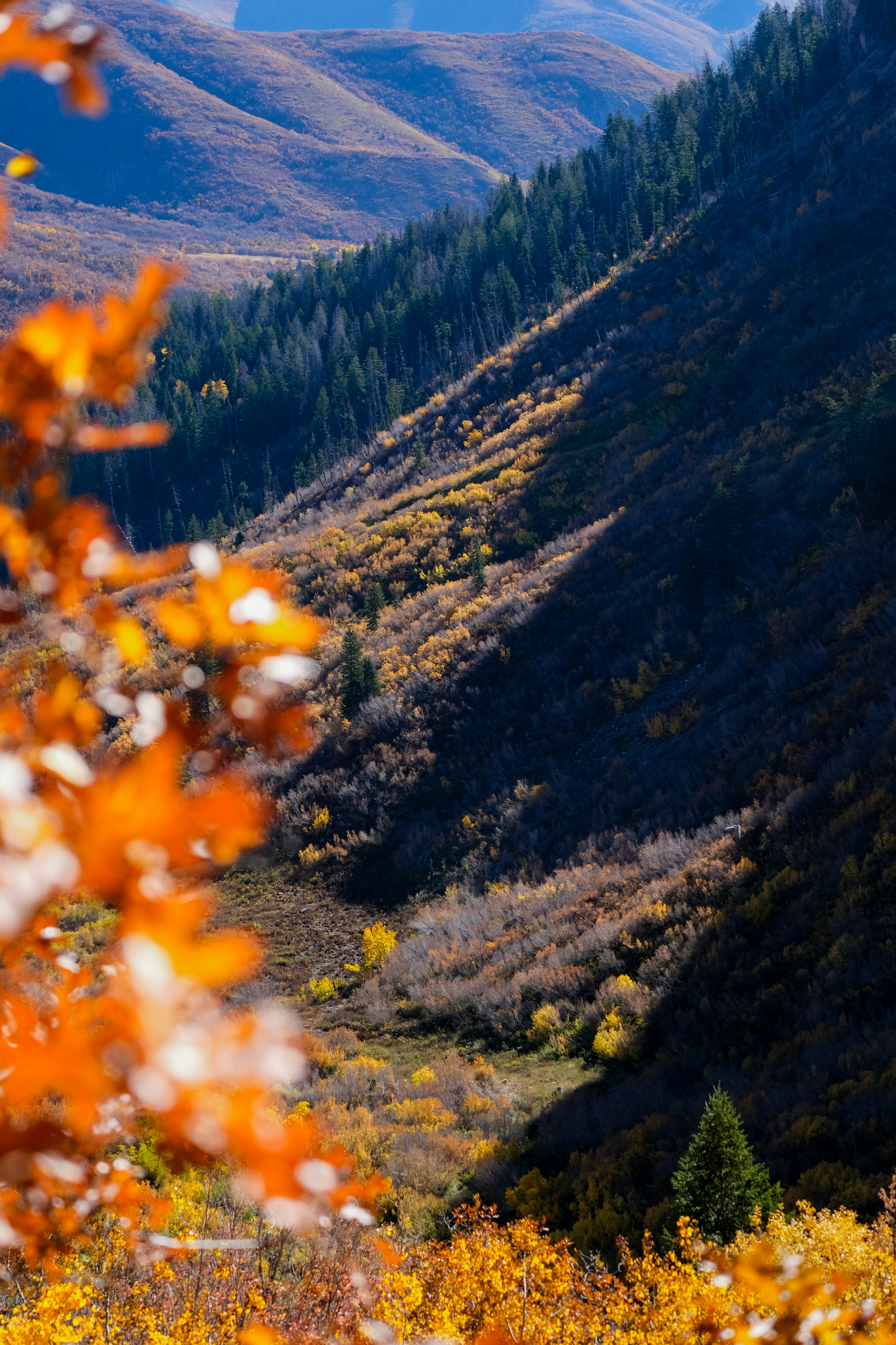 Photo by cestmoisheedy