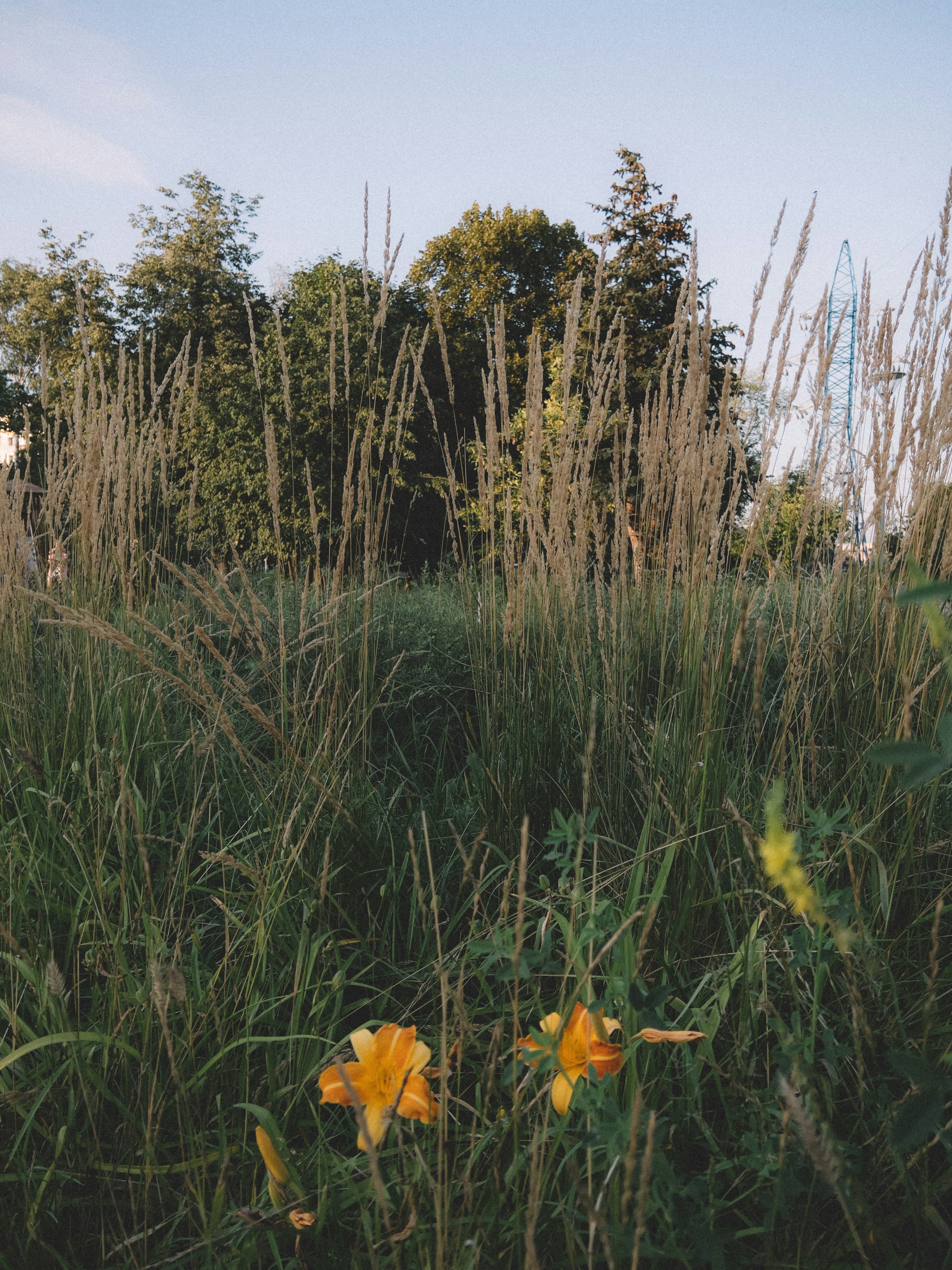 Photo by jasper95