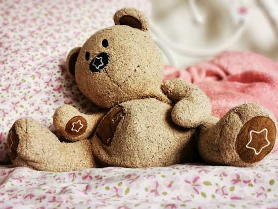 A soft, fluffy teddy bear lies on a patterned floral bedspread, surrounded by pink fabric. The bear has a stitched nose and eyes with decorative stars on its paws and belly.