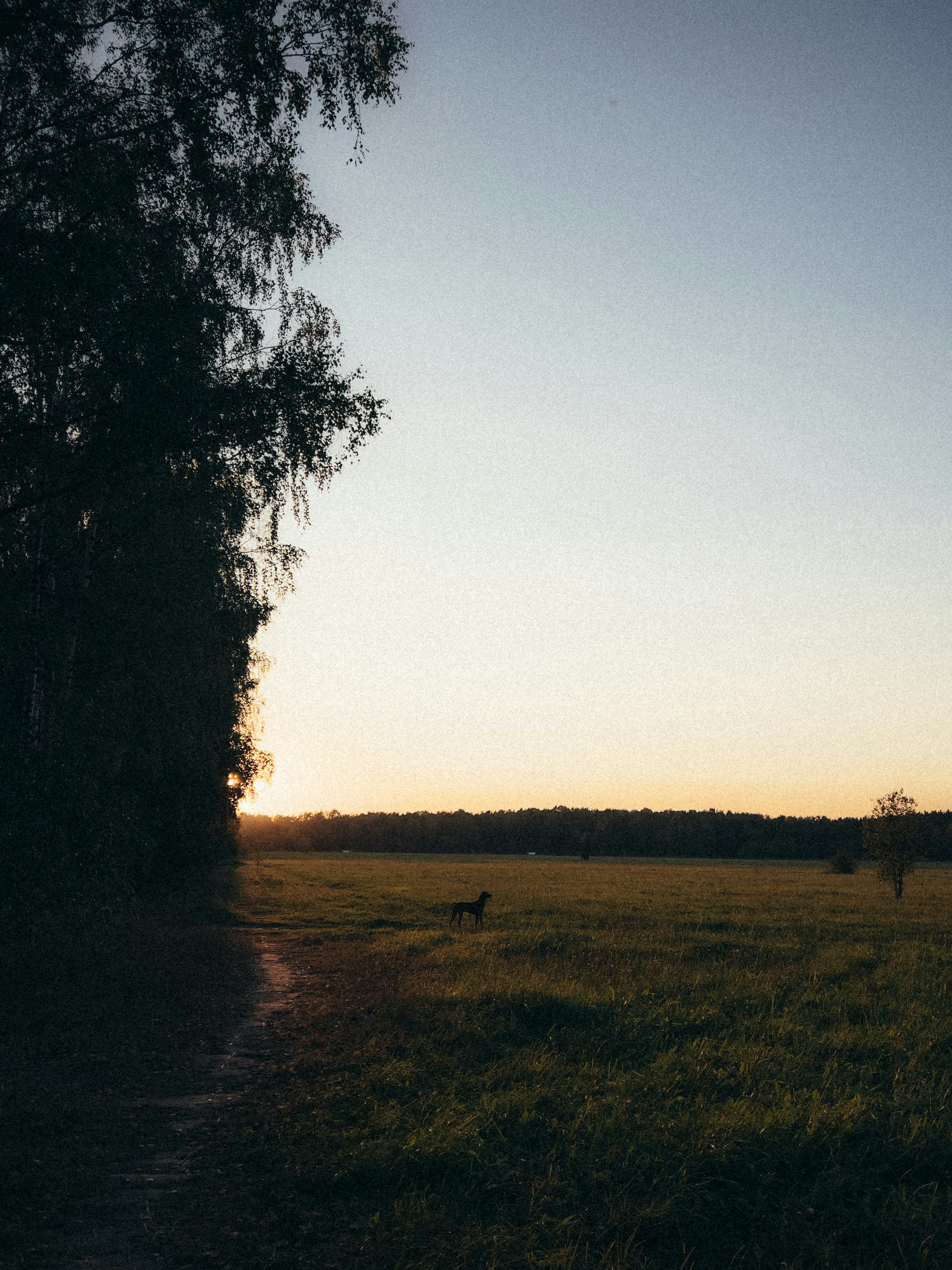 Photo by jasper95
