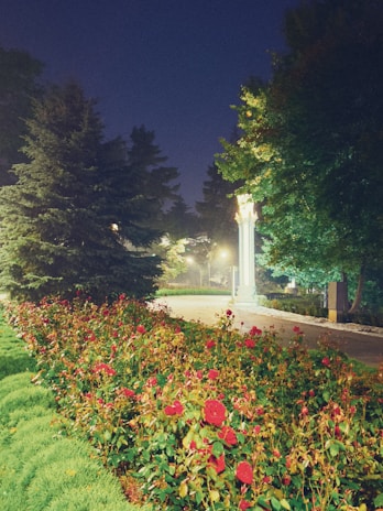 Soft garden lights illuminating a pathway lined with vibrant flowers during twilight.