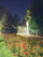 A cozy backyard illuminated by soft, golden landscape lights highlighting lush greenery and a stone pathway at dusk.