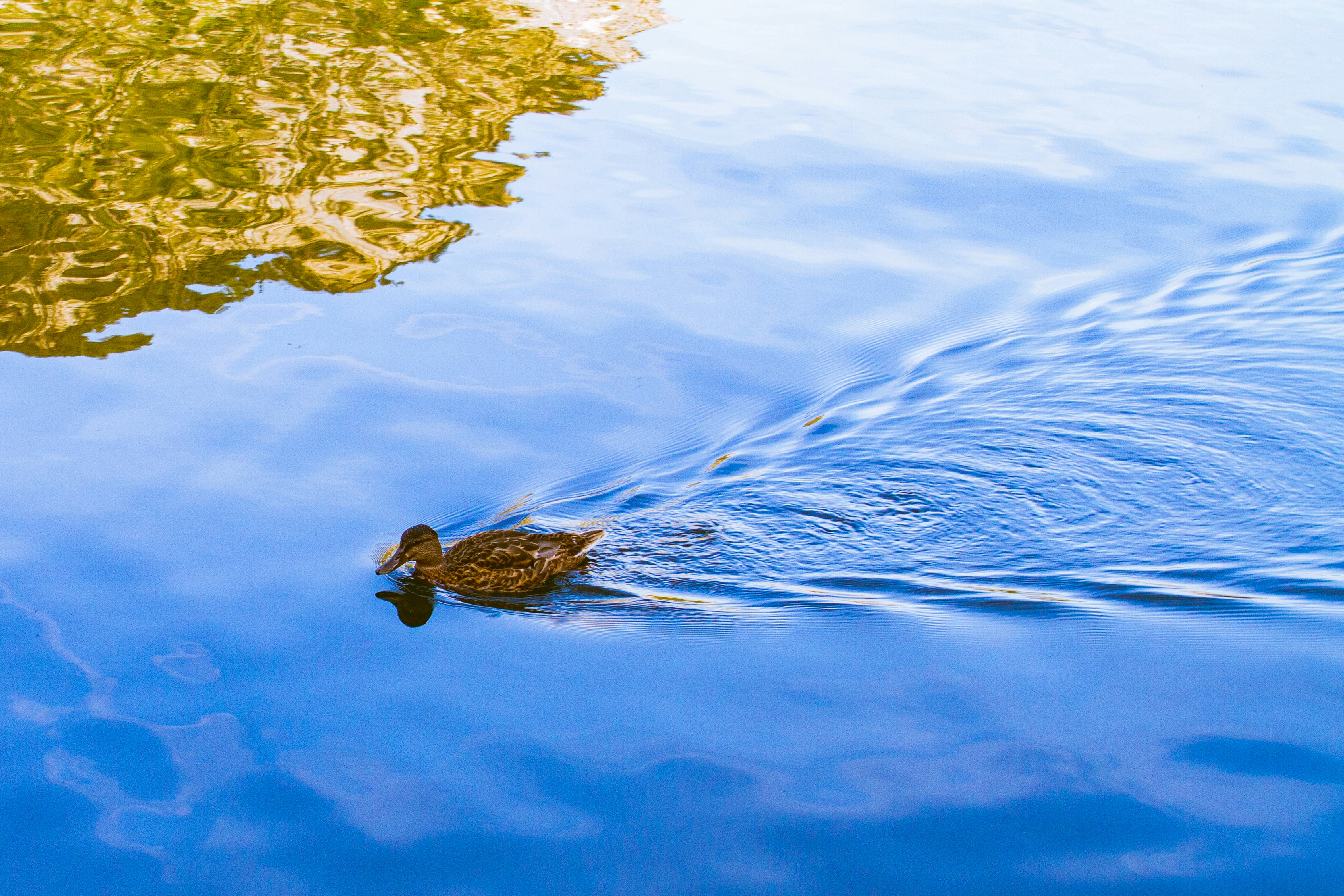 Photo by mattia_poli_04