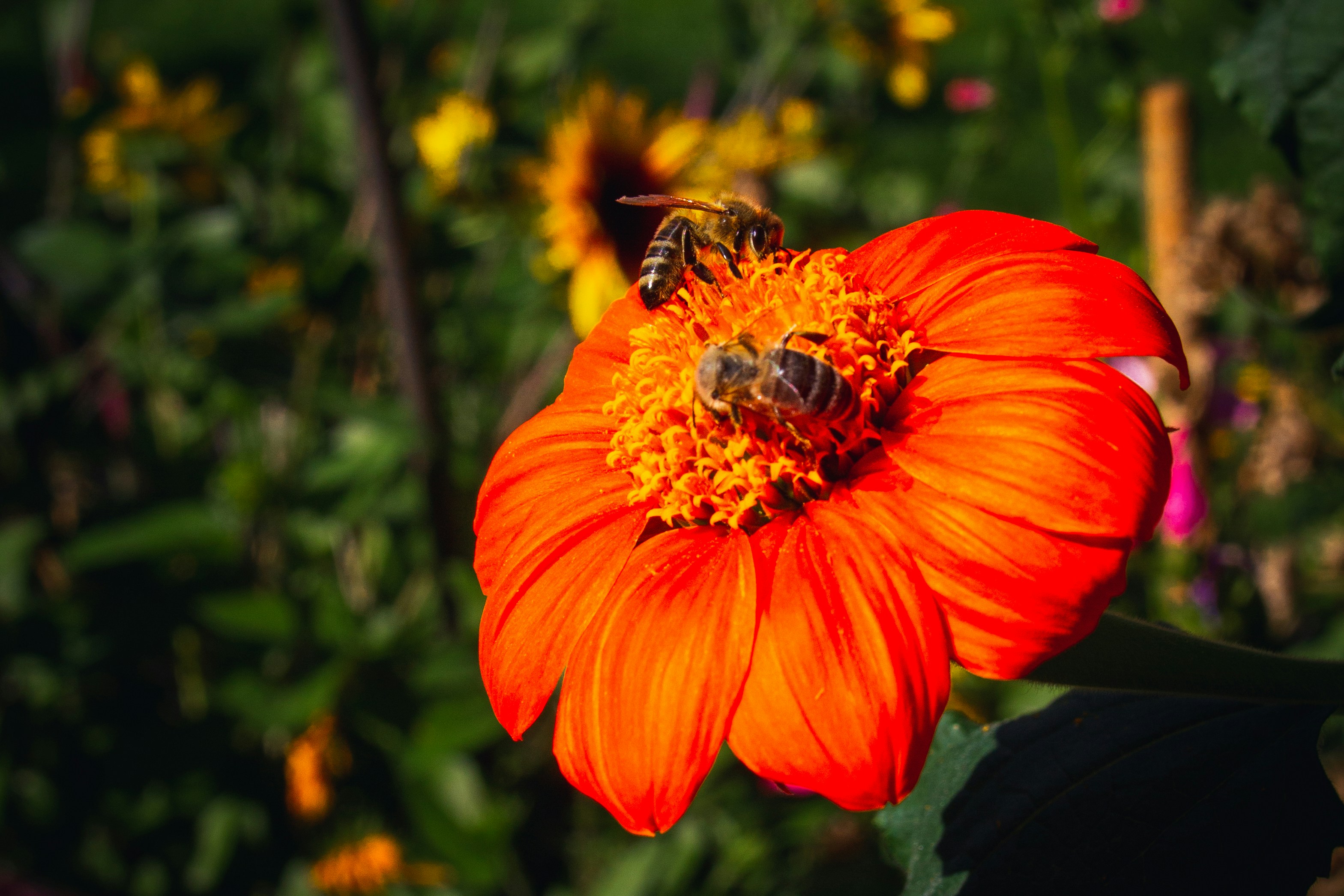 Photo by mattia_poli_04