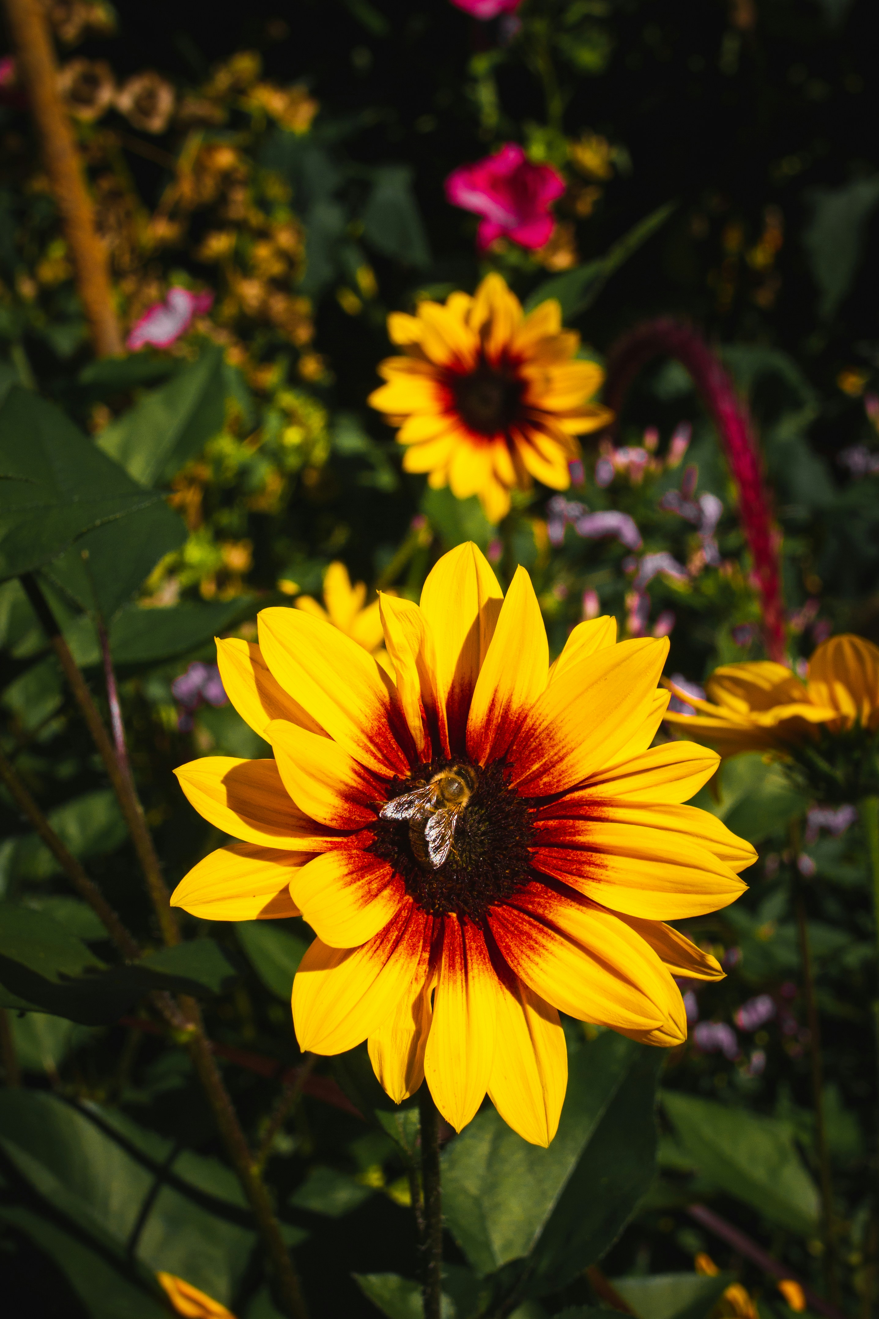 Photo by mattia_poli_04