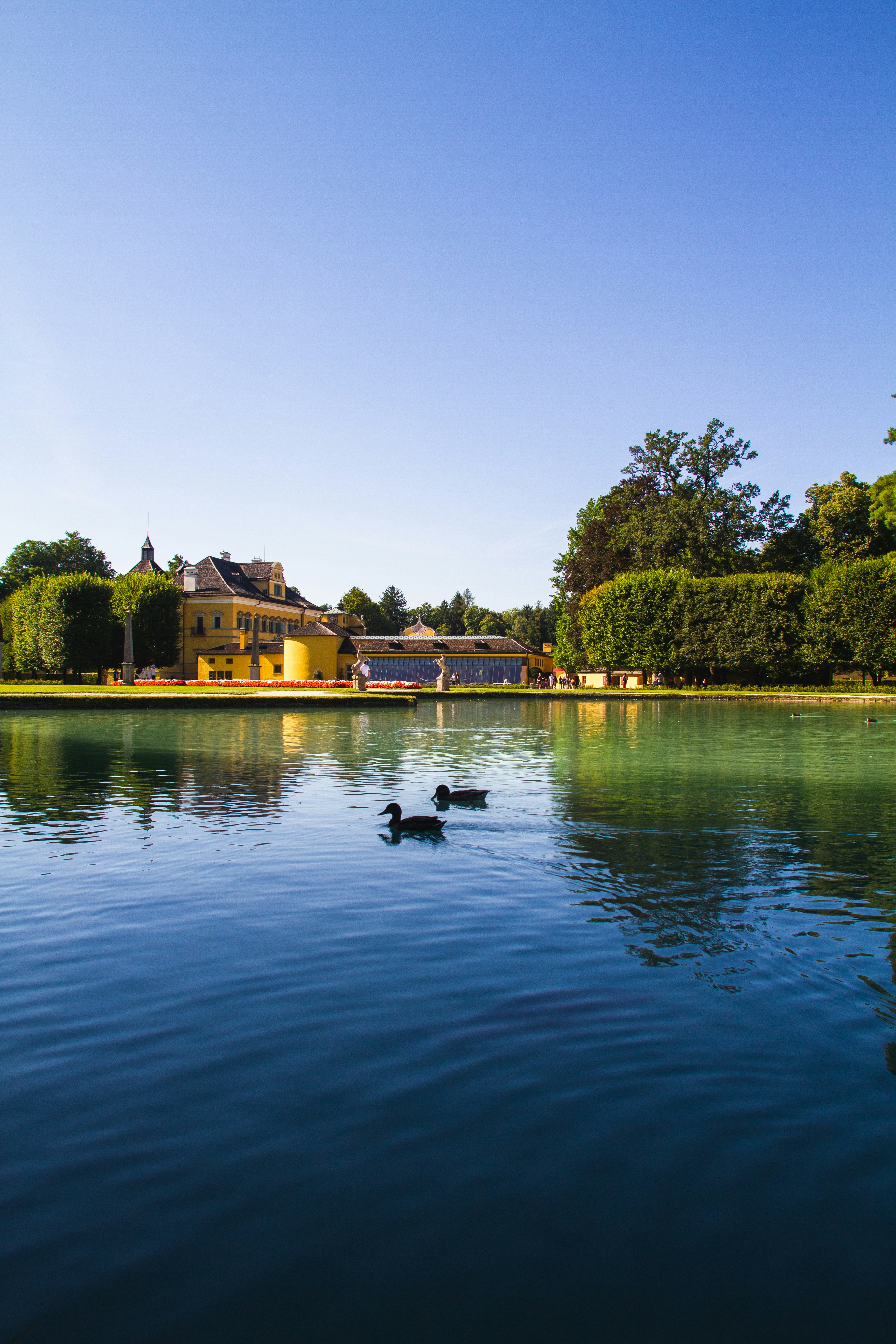 Photo by mattia_poli_04