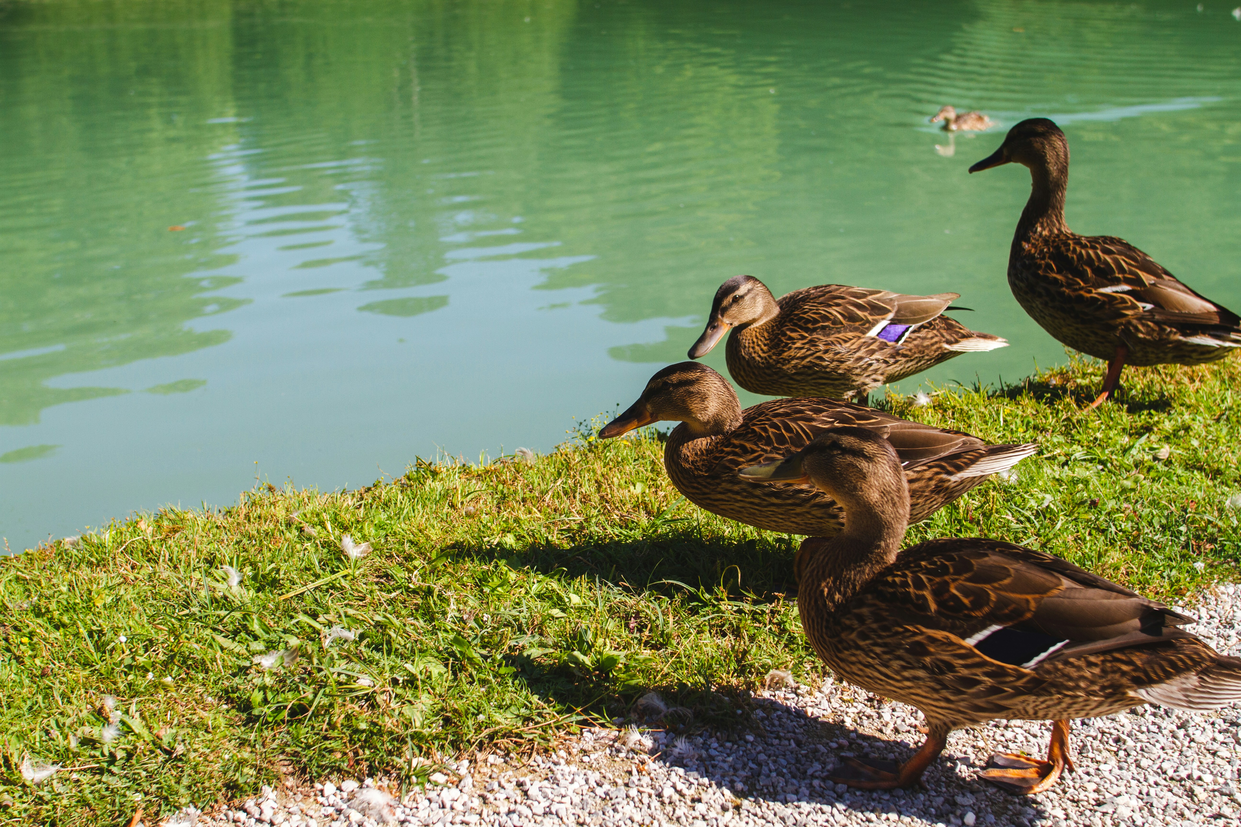 Photo by mattia_poli_04