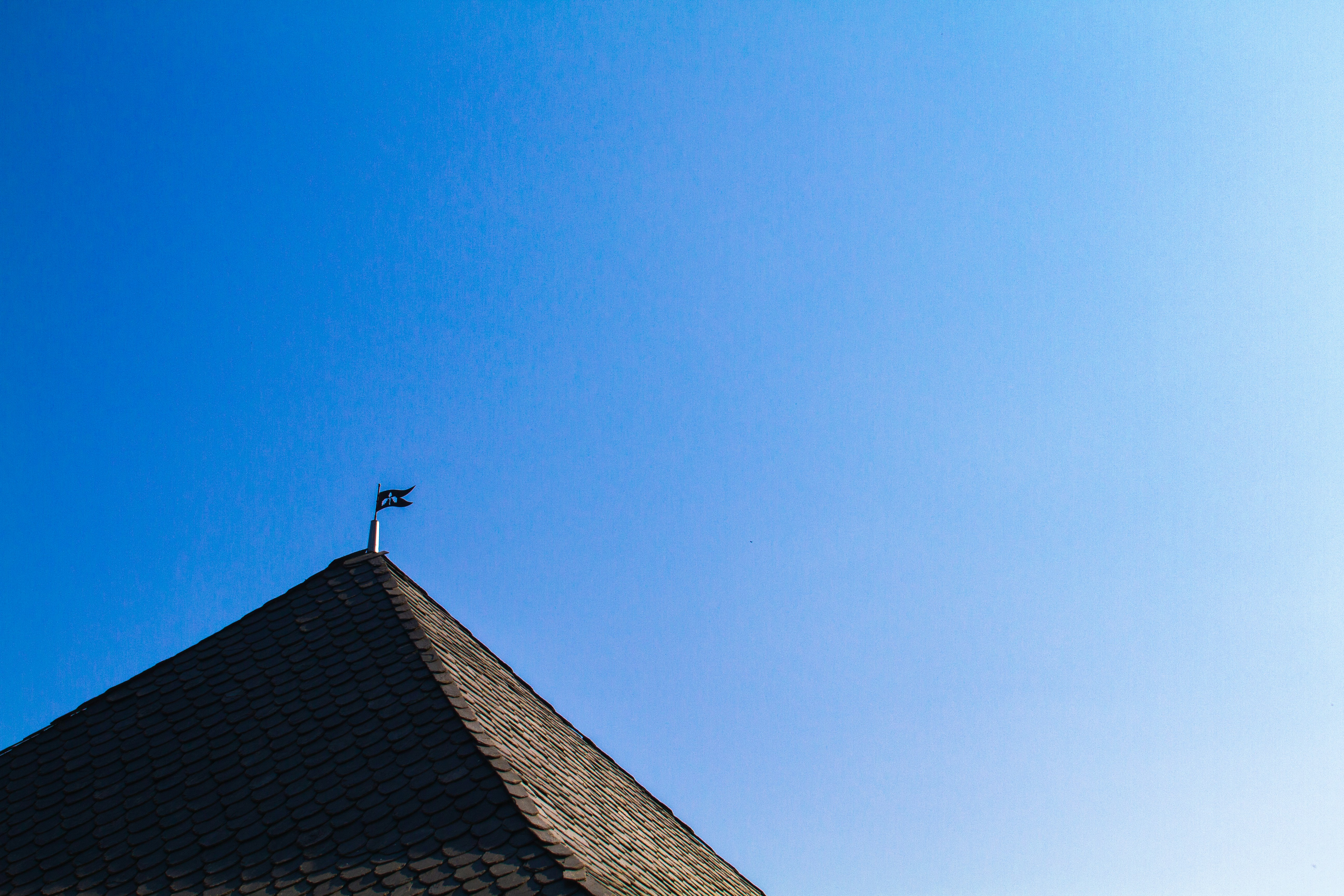 Photo by mattia_poli_04