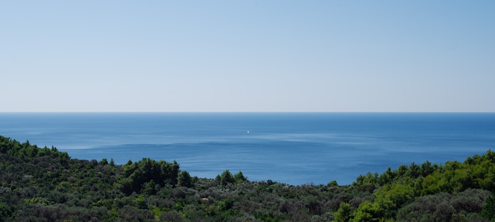 a view of the ocean from the top of a hill