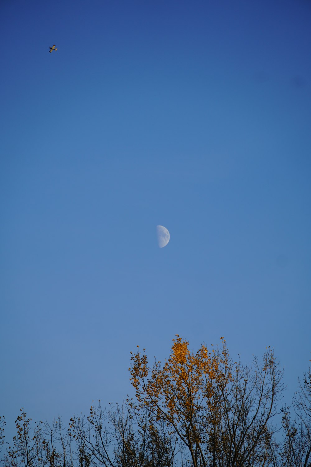 a plane flying in the sky with a half moon in the background