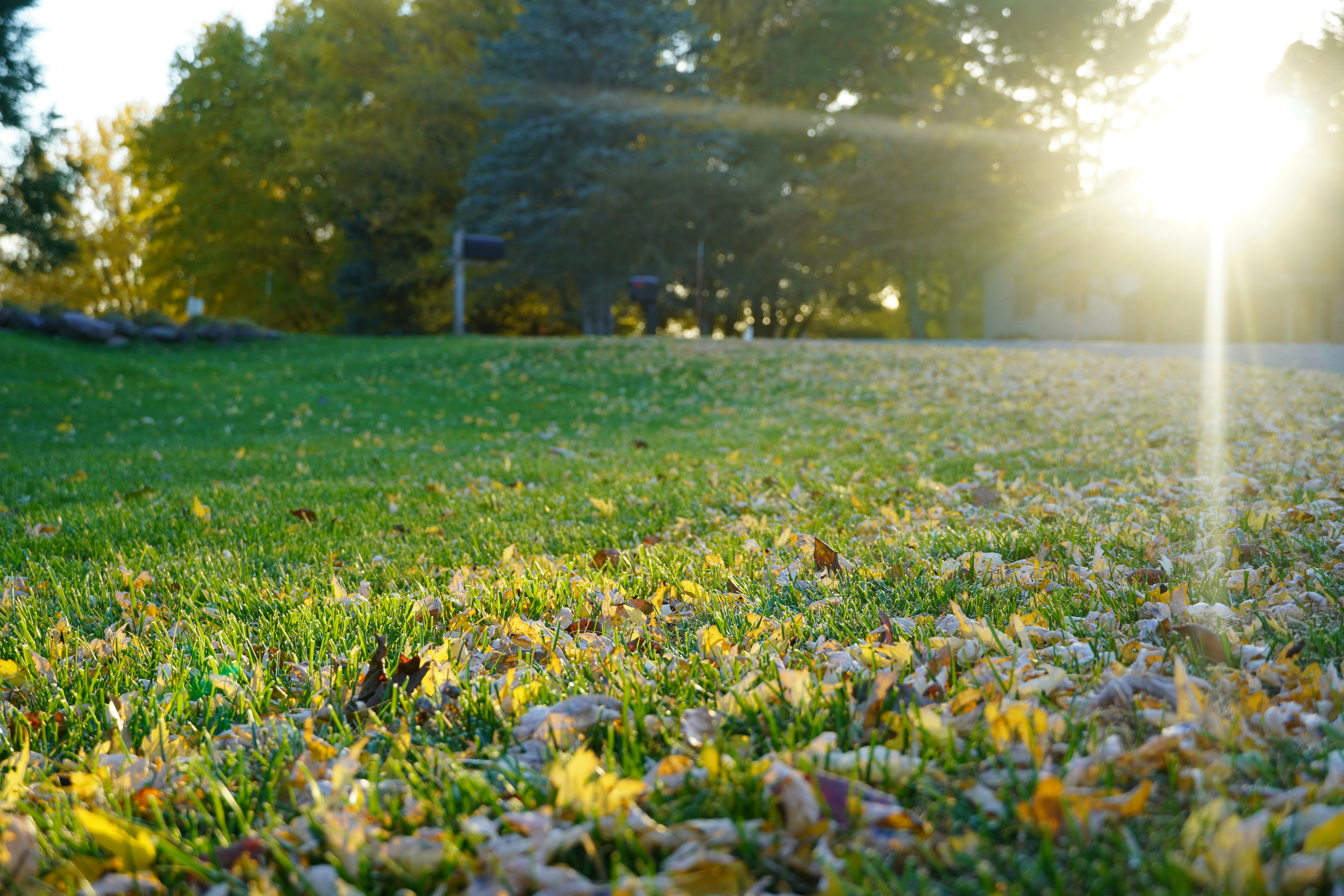 Photo by calecrunchy