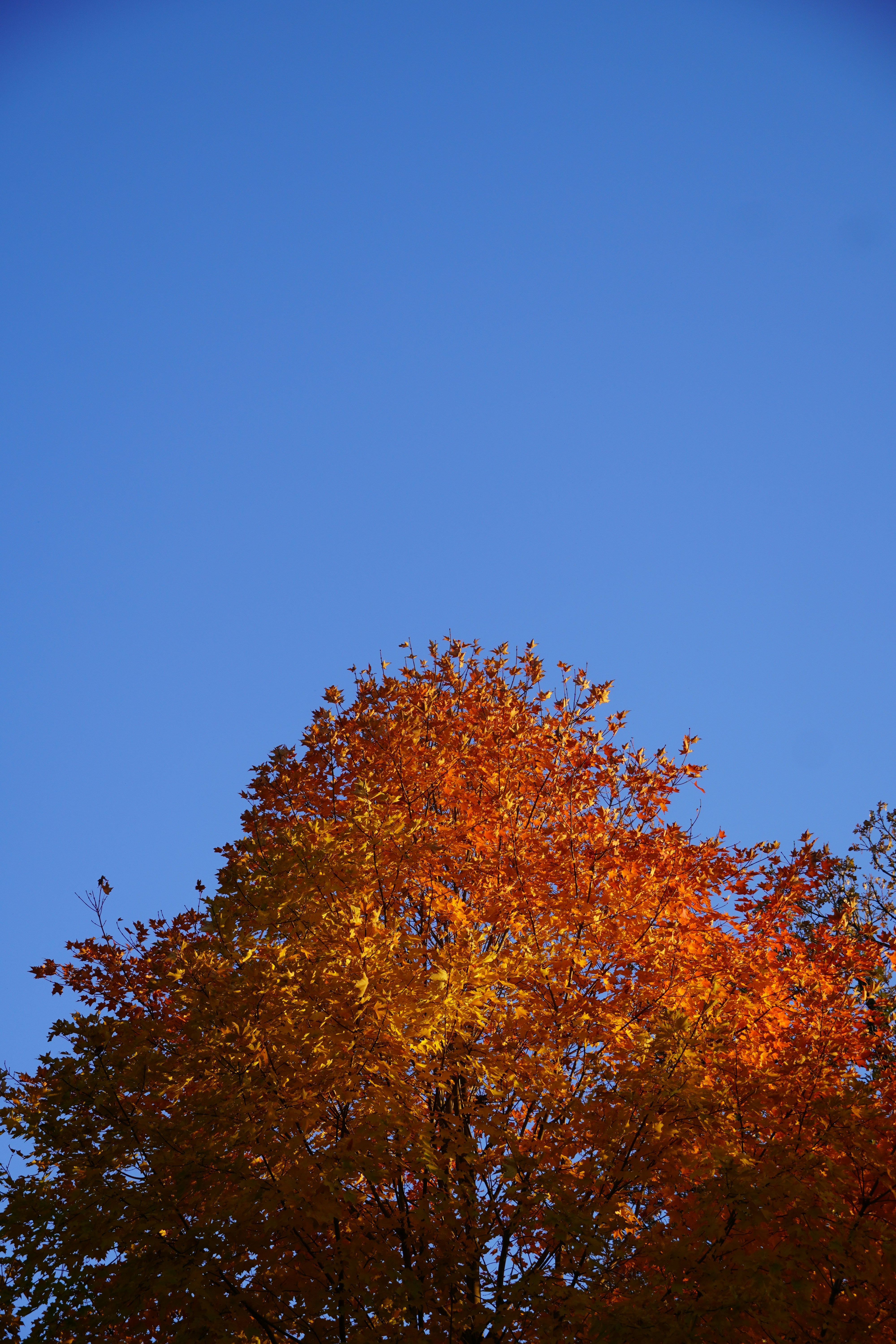 Photo by calecrunchy